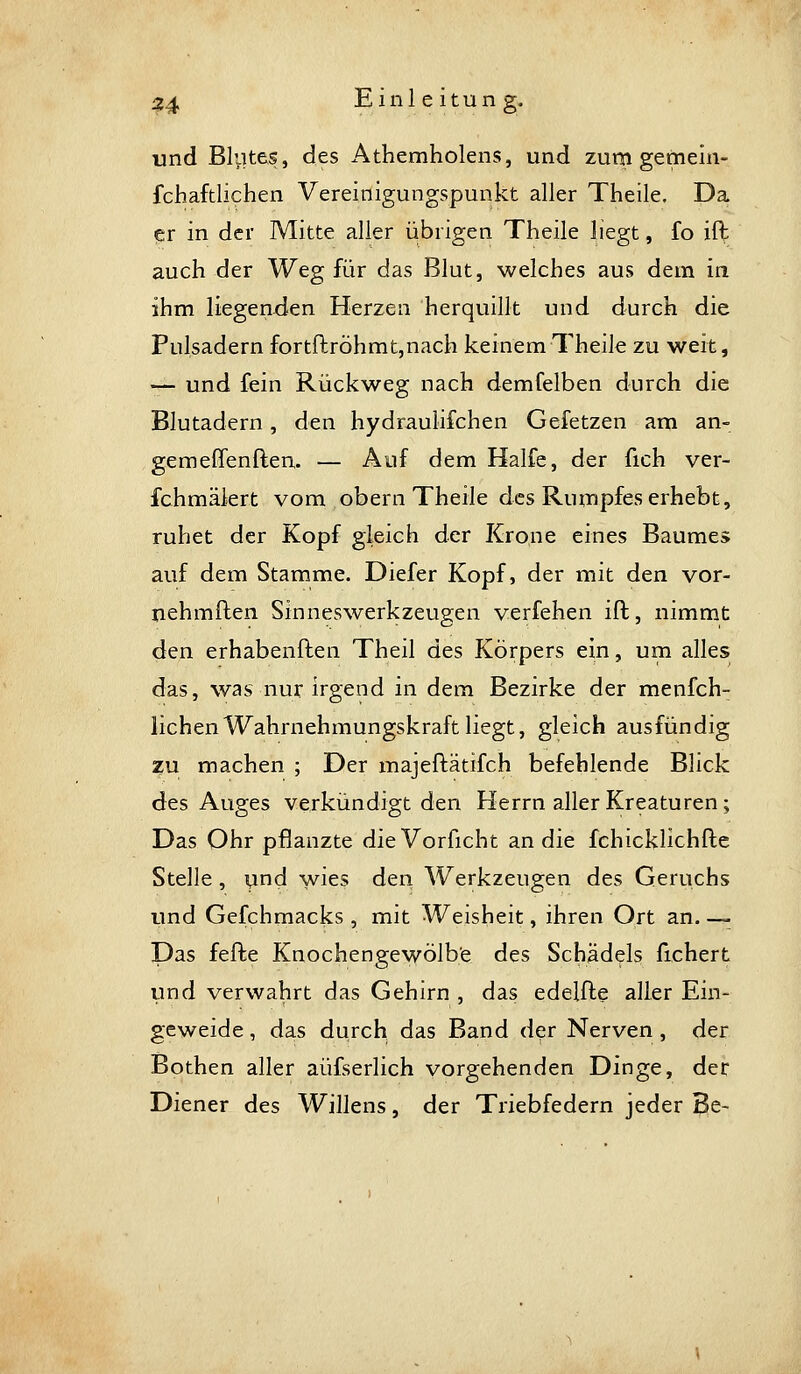 und Bl^ites, des Athemholens, und zum gernein- fchaftlichen Vereinigungspunkt aller Theile. Da er in der Mitte aller übrigen Theile liegt, fo ift auch der Weg für das Blut, welches aus dem in ihm liegenden Herzen herquillt und durch die Pulsadern fortftröhmt,nach keinem Theik zu weit, — und fein Rückweg nach demfelben durch die Blutadern, den hydraulifchen Gefetzen am an- gemeffenften. — Auf dem Hälfe, der fich ver- fchmälert vom obern Theile des Rumpfes erhebt, ruhet der Kopf gleich der Krone eines Baumes auf dem Stamme. Diefer Kopf, der mit den vor- nehmften Sinneswerkzeugen verfehen ift, nimmt den erhabenften Theil des Körpers ein, um alles das, was nur irgend in dem Bezirke der menfch- lichen Wahrnehmungskraft liegt, gleich ausfündig zu machen ; Der majeftätifch befehlende Blick des Auges verkündigt den Herrn aller Kreaturen; Das Ohr pflanzte die Vorficht an die fchicklichfte Stelle , und wies den Werkzeugen des Geruchs und Gefchmacks, mit Weisheit, ihren Ort an Das fefte Knochengewölb'e des Schädels fichert und verwahrt das Gehirn , das edelfte aller Ein- geweide , das durch das Band d?r Nerven , der Bothen aller aüfserlich vorgehenden Dinge, der Diener des Willens, der Triebfedern jeder 5|e-