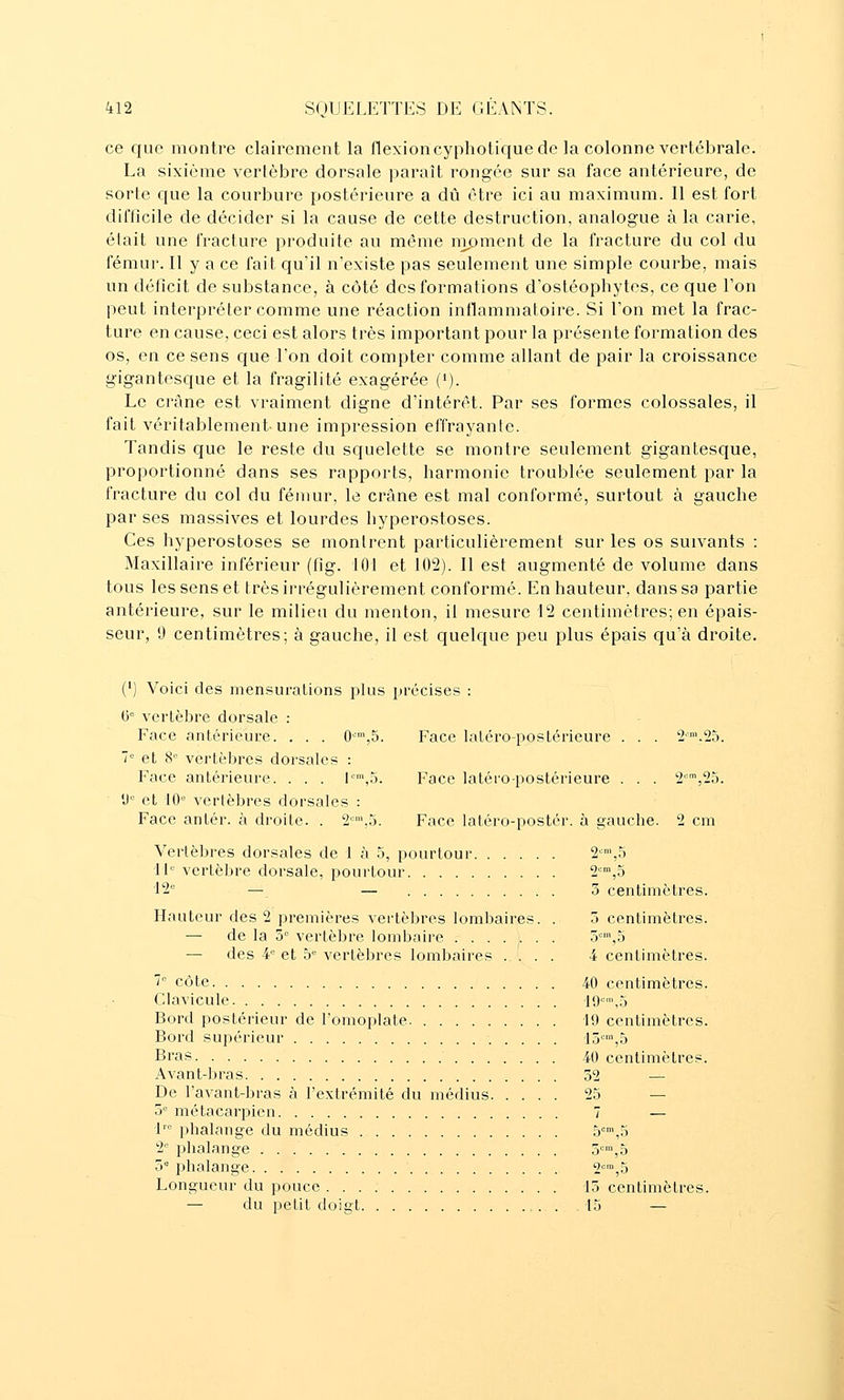 ce que montre clairement la flexion cypliotique de la colonne vertébrale. La sixième vertèbre dorsale paraît rongée sur sa face antérieure, de sorte que la courbure postérieure a dû être ici au maximum. Il est fort difficile de décider si la cause de cette destruction, analogue à la carie, était une fracture produite au même nipment de la fracture du col du fémur. Il y a ce fait qu'il n'existe pas seulement une simple courbe, mais un déficit de substance, à côté des formations d'ostéophytes, ce que l'on peut interpréter comme une réaction inflammatoire. Si l'on met la frac- ture en cause, ceci est alors très important pour la présente formation des os, en ce sens que Ton doit compter comme allant de pair la croissance gigantesque et la fragilité exagérée (•). Le crâne est vraiment digne d'intérêt. Par ses formes colossales, il fait véritablement-une impression effrayante. Tandis que le reste du squelette se montre seulement gigantesque, proportionné dans ses rapports, harmonie troublée seulement par la fracture du col du fémur, le crâne est mal conformé, surtout à gauche par ses massives et lourdes hyperostoses. Ces hyperostoses se montrent particulièrement sur les os suivants : Maxillaire inférieur (fig. 101 et 102). 11 est augmenté de volume dans tous les sens et très irrégulièrement conformé. En hauteur, dans sa partie antérieure, sur le milieu du menton, il mesure 12 centimètres; en épais- seur, 9 centimètres; à gauche, il est quelque peu plus épais qu'à droite. (') Voici des mensurations plus précises : H vertèbre dorsale : Face antérieure. . . . 0'^^',5. Face laléro-postérieure . . . ^■'.SS. 7= et S* vertèljres dorsales : Face antérieure. . . . l'\5. Face latéropostérieure . . . 2,25. ■ U et 10'^ vertèbres dorsales : Face antér. à droite. . 2,5. Face latéro-postcr. à gauche. 2 cm Vertèbres dorsales de 1 à 5, pourtour 2>,.5 11'' vertèbre dorsale, pourtour 2,5 12 — — 5 centimètres. Hauteur des 2 premières vertèbres lombaires. . o centimètres. — de la 5= vertèbre lombaire ~j'\o — des 4= et 5= vertèbres lombaires .... 4 centimètres. 1 côte 40 centimètres. Clavicule 19',5 Bord postérieur de l'omoplate. 19 centimètres. Bord supérieur 15',5 Bras 40 centimètres. Avant-bras 52 — De l'avant-bras à l'extrémité du médius 25 — 5= métacarpien 7 — 1'° phalange du médius 5'=,5 2'^ phalange 5''',5 5'' phalange 2'',5 Longueur du pouce 15 centimètres. — du petit doigt 15 —