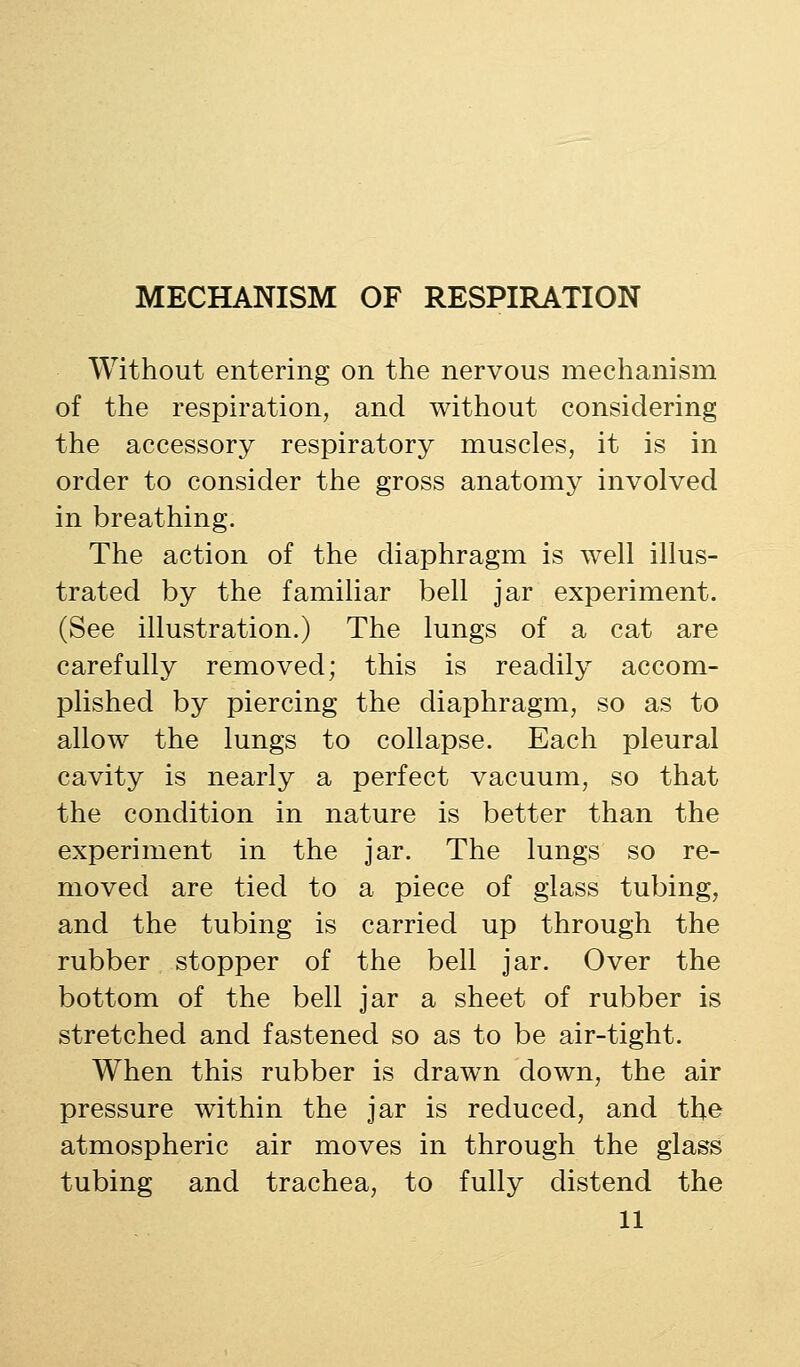 Without entering on the nervous mechanism of the respiration, and without considering the accessory respiratory muscles, it is in order to consider the gross anatomy involved in breathing. The action of the diaphragm is well illus- trated by the familiar bell jar experiment. (See illustration.) The lungs of a cat are carefully removed; this is readily accom- plished by piercing the diaphragm, so as to allow the lungs to collapse. Each pleural cavity is nearly a perfect vacuum, so that the condition in nature is better than the experiment in the jar. The lungs so re- moved are tied to a piece of glass tubing, and the tubing is carried up through the rubber stopper of the bell jar. Over the bottom of the bell jar a sheet of rubber is stretched and fastened so as to be air-tight. When this rubber is drawm down, the air pressure within the jar is reduced, and the atmospheric air moves in through the glass tubing and trachea, to fully distend the