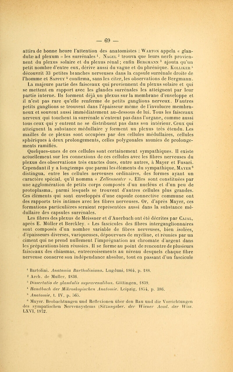 attira de bonne heure l'attention des anatomistes : Warton appela « glan- dulae ad plexum » les surrénales '■. Nagel - trouva que leurs nerfs provien- nent du plexus solaire et du plexus rénal; enfin Bergmann ^ ajouta qu'un petit nombre d'entre eux, dérive aussi du vague et du phrénique. Kolliker* découvrit 33 petites branches nerveuses dans la capsule surrénale droite de l'homme et Sappey ^ confirma, sans les citer, les observations de Bergmann. La majeure partie des faisceaux qui proviennent du plexus solaire et qui se mettent en rapport avec les glandes surrénales les atteignent par leur partie interne. Ils forment déjà un plexus sur la membrane d'enveloppe et il n'est pas rare qu'elle renferme de petits ganglions nerveux. D'autres petits ganglions se trouvent dans l'épaisseur même de Tinvolucre membra- neux et souvent aussi immédiatement au-dessous de lui. Tous les faisceaux nerveux qui touchent la surrénale n'entrent pas dans l'organe, comme aussi tous ceux qui y entrent ne se distribuent pas dans son intérieur. Ceux qui atteignent la substance médullaire y forment un plexus très étendu. Les mailles de ce plexus sont occupées par des cellules médullaires, cellules sphériques à deux prolongements, celles polygonales munies de prolonge- ments ramifiés. Quelques-unes de ces cellules sont certainement sympathiques. Il existe actuellement sur les connexions de ces cellules avec les fibres nerveuses du plexus des observations très exactes dues, entre autres, à Mayer et Fusari. Cependant il y a longtemps que parmi les éléments du sympathique, Mayer  distingua, entre les cellules nerveuses ordinaires, des formes ayant un caractère spécial, qu'il nomma « Zellennesler ». Elles sont constituées par une agglomération de petits corps composés dun nucléus et d'un peu de protoplasma, parmi lesquels se trouvent d'autres cellules plus grandes. Ces éléments qui sont enveloppés d'une capsule connective commune ont des rapports très intimes avec les fibres nerveuses. Or, d'après Mayer, ces formations particulières seraient représentées aussi dans la substance mé- dullaire des capsules surrénales. Les fibres des plexus de Meissner et d'Auerbach ont été décrites par Cajal, après E. MûUer et Berckley. « Les fascicules des fibres interganglionnaires sont composés d'un nombre variable de fibres nerveuses, bien isolées, d'épaisseurs diverses, variqueuses, dépourvues de myéline, et réunies par un ciment qui ne prend nullement l'imprégnation au chromate d'argent dans les^préparations bien réussies. Il se forme au point de rencontre de plusieurs faisceaux des chiasmas, entrecroisements au niveau desquels chaque fibre nerveuse conserve son indépendance absolue, tout en passant d'un fascicule ^ Bartolini. Analomia Bartlioliniana. Lugduni, 1864, p. 188. •2 Arch. de Muller, 1836. ^ Dissertatio de glandulis suprarenalibus. Gôttingen, 1839. * Handbuch der Mikroskopischen Analomie. Leipzig, 18.j4, p. 386. ^ Analomie, t. IV, p. .56.o.  Mayer. Beobachtungen und Reflexionen ûber den Bau und die Vorrichtungen des sympatischen Nervensystems [Sitzungsber. der Wiener Acad. der Wiss. LXVI, 1872.