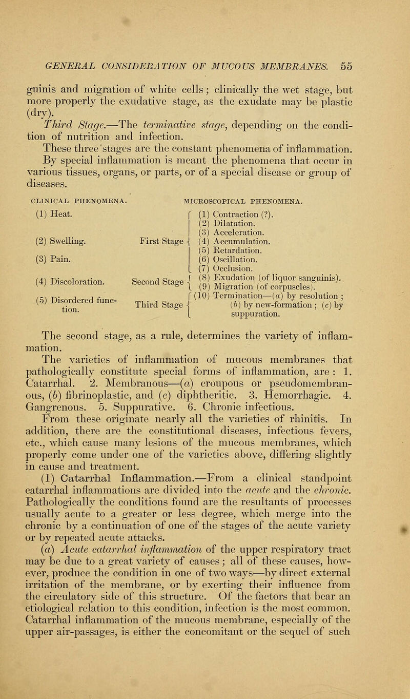 guinis and migration of white cells; clinically the wet stage, but more properly the exudative stage, as the exudate may be plastic (dry). Third Stage.—The terminative stage, depending on the condi- tion of nutrition and infection. These three stages are the constant phenomena of inflammation. By special inflammation is meant the phenomena that occur in various tissues, organs, or parts, or of a special disease or group of diseases. CLINICAE PHENOMENA. MICROSCOPICAL, PHENOMENA. (1) Heat. f (1) Contraction (?). (2) Dilatation. | (3) Acceleration. (2) Swelling. First Stage ■{ (4) Accumulation. (3) Pain. (5) Retardation. (6) Oscillation. (7) Occlusion. (4) Discoloration. Second Stage \ \*\ Exudation (of liquor sanguinis). v ' I (9) Migration (of corpuscles). (&) Disordered funo- f (10) Termination— («) hY resolution ; (0) Disordered tunc- Third gtage I (ft) hy new.f0rmation ; (c) by 1 n [ suppuration. The second stage, as a rule, determines the variety of inflam- mation. The varieties of inflammation of mucous membranes that pathologically constitute special forms of inflammation, are : 1. Catarrhal. 2. Membranous—(a) croupous or pseudomembran- ous, (6) fibrinoplastic, and (c) diphtheritic. 3. Hemorrhagic. 4. Gangrenous. 5. Suppurative. 6. Chronic infectious. From these originate nearly all the varieties of rhinitis. In addition, there are the constitutional diseases, infectious fevers, etc., which cause many lesions of the mucous membranes, which properly come under one of the varieties above, differing slightly in cause and treatment. (1) Catarrhal Inflammation.—From a clinical standpoint catarrhal inflammations are divided into the acute and the chronic. Pathologically the conditions found are the resultants of processes usually acute to a greater or less degree, which merge into the chronic by a continuation of one of the stages of the acute variety or by repeated acute attacks. (a) Acute catarrhal inflammation of the upper respiratory tract may be due to a great variety of causes; all of these causes, how- ever, produce the condition in one of two ways—by direct external irritation of the membrane, or by exerting their influence from the circulatory side of this structure. Of the factors that bear an etiological relation to this condition, infection is the most common. Catarrhal inflammation of the mucous membrane, especially of the upper air-passages, is either the concomitant or the sequel of such