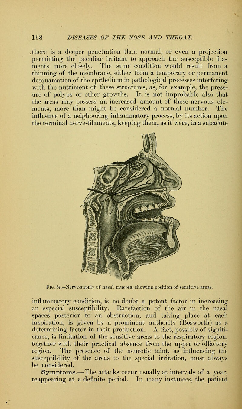 there is a deeper penetration than normal, or even a projection permitting the peculiar irritant to approach the susceptible fila- ments more closely. The same condition would result from a thinning of the membrane, either from a temporary or permanent desquamation of the epithelium in pathological processes interfering with the nutriment of these structures, as, for example, the press- ure of polyps or other growths. It is not improbable also that the areas may possess an increased amount of these nervous ele- ments, more than might be considered a normal number. The influence of a neighboring inflammatory process, by its action upon the terminal nerve-filaments, keeping them, as it were, in a subacute Fig. 54.—Nerve-supply of nasal mucosa, showing position of sensitive areas. inflammatory condition, is no doubt a potent factor in increasing an especial susceptibility. Rarefaction of the air in the nasal spaces posterior to an obstruction, and taking place at each inspiration, is given by a prominent authority (Bosworth) as a determining factor in their production. A fact, possibly of signifi- cance, is limitation of the sensitive areas to the respiratory region, together with their practical absence from the upper or olfactory region. The presence of the neurotic taint, as influencing the susceptibility of the areas to the special irritation, must always be considered. Symptoms.—The attacks occur usually at intervals of a year, reappearing at a definite period. In many instances, the patient