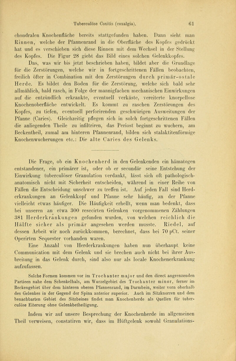 chondralen Knochenfläche bereits stattgefunden haben. Dann sieht man Rinnen, welche der Pfannenrand in die Oberfläche des Kopfes gedrückt hat und es verschieben sich diese Rinnen mit dem Wechsel in der Stellung des Kopfes. Die Figur 28 giebt das Bild eines solchen Gelenkkopfes. Das, was wir bis jetzt beschrieben haben, bildet aber die Grundlage für die Zerstörungen, welche wir in fortgeschrittenen Fällen beobachten, freilich öfter in Combination mit den Zerstörungen durch primär-ostale Herde. Es bildet den Boden für die Zerstörung, welche sich bald sehr allmählich, bald rasch, in Folge der mannigfachen mechanischen Einwirkungen auf die entzündlich erkrankte, eventuell verkäste, vereiterte knorpellosc Knochenoberfläche entwickelt. Es kommt zu raschen Zerstörungen des Kopfes, zu tiefen, eventuell perforirenden geschwürigen Ausweitungen der Pfanne (Caries). Gleichzeitig pflegen sich in solch fortgeschrittenen Fällen die anliegenden Theile zu infiltriren, das Periost beginnt zu wuchern, am Beckentheil, zumal am hinteren Pfannenrand, bilden sich stalaktitenförmige Knochenwucherungen etc.: Die alte Caries des Gelenks. Die Frage, ob ein Knochenherd in den 'Gelenkenden ein hämatogen entstandener, ein primärer ist, oder ob er seeundär seine Entstehung der Einwirkung tuberculöser Granulation verdankt, lässt sich oft pathologisch- anatomisch nicht mit Sicherheit entscheiden, während in einer Reihe von Fällen die Entscheidung unschwer zu treffen ist. Auf jeden Fall sind Herd- erkrankungen an Gelenkkopf und Pfanne sehr häufig, an der Pfanne vielleicht etwas häufiger. Die Häufigkeit erhellt, wenn man bedenkt, dass bei unseren an etwa 300 resecirten Gelenken vorgenommenen Zählungen 381 Herderkrankungen gefunden wurden, von welchen reichlich die Hälfte sicher als primär angesehen werden musste. Riedel, auf dessen Arbeit wir noch zurückkommen, berechnet, class bei 70 pCt. seiner Operirten Sequester vorhanden waren. Eine Anzahl von Herderkrankungen haben nun überhaupt keine Communication mit dem Gelenk und sie brechen auch nicht bei ihrer Aus- breitung in das Gelenk durch, sind also nur als locale Knochenerkrankung aufzufassen. Solche Formen kommen vor im Trochanter major und den direct angrenzenden Partieen nahe dem Schenkelhals, am Wurzelgebiet des Trochanter minor, ferner im Beckengebiet über dem hinteren oberen Pfannenrand, im Darmbein, weiter vom oberhalb des Gelenkes in der Gegend der Spina anterior superior. Auch im Sitzknorren und dem benachbarten Gebiet des Sitzbeines findet man Knochenherde als Quellen für tuber- culöse Eiterung ohne Gelenkbetheiligung. Indem wir auf unsere Besprechung der Knochenherde im allgemeinen Theil verweisen, constatiren wir, dass im Hüftgelenk sowohl Granulations-