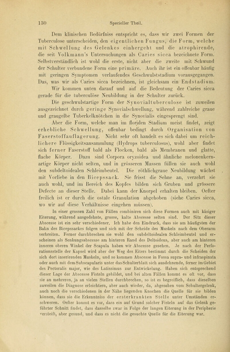 Dem klinischen Bedürfniss entspricht es, dass wir zwei Formen der Tuberculose unterscheiden, den eigentlichen Fungus, die Form, welche mit Schwellung des Gelenkes einhergeht und die atrophirende, die seit Volkmann's Untersuchungen als Caries sicca bezeichnete Form. Selbstverständlich ist wohl die erste, nicht aber die zweite mit Schwund der Schulter verbundene Form eine primäre. Auch ihr ist ein offenbar häufig mit geringen Symptomen verlaufendes Geschwulststadium vorausgegangen. Das, was wir als Caries sicca bezeichnen, ist gleichsam ein Endstadium. Wir kommen unten darauf und auf die Bedeutung der Caries sicca gerade für die tuberculose Neubildung in der Schulter zurück. Die geschwulstartige Form der Synovialtuberculose ist zuweilen ausgezeichnet durch geringe Synovialschwellung, während zahlreiche graue und graugelbe Tuberkelknötchen in die Synovialis eingesprengt sind. Aber die Form, welche man im floriden Stadium meist findet, zeigt erhebliche Schwellung, offenbar bedingt durch Organisation von Faserstoffauflagerung. Nicht sehr oft handelt es sich dabei um reich- lichere Flüssigkeitsansammlung (Hydrops tuberculosus), wohl aber findet sich ferner Faserstoff bald als Flocken, bald als Membranen und glatte, flache Körper. Dazu sind Corpora oryzoidea und ähnliche melonenkern- artige Körper nicht selten, und in grösseren Massen füllen sie auch wohl den subdeltoidealen Schleimbeutel. Die röthlichgraue Neubildung wächst mit Vorliebe in den Bicepssack. Sie frisst die Sehne an, verzehrt sie auch wohl, und im Bereich des Kopfes bilden sich Gruben und grössere Defecte an dieser Stelle. Dabei kann der Knorpel erhalten bleiben. Oefter freilich ist er durch die ostale Granulation abgehoben (siehe Caries sicca, wo wir auf diese Verhältnisse eingehen müssen). In einer grossen Zahl von Fällen combiniren sich diese Formen auch mit käsiger Eiterung, während ausgedehnte, grosse, kalte Abscesse selten sind. Der Sitz dieser Abscesse ist ein sehr verschiedener. Ich habe den Eindruck, dass sie am häufigsten der Bahn des Bicepssackes folgen und sich mit der Scheide des Muskels nach dem Oberarm verbreiten. Ferner durchbrechen sie wohl den subdeltoidealen Schleimbeutel und er- scheinen als Senkungsabscesse am hinteren Rand des Deltoideus, aber auch am hinteren inneren oberen Winkel der Scapula haben wir Abscesse gesehen. Je nach der Perfo- rationsstelle der Kapsel wird aber der Weg des Eiters bestimmt durch die Scheiden der sich dort inserirenden Muskeln, und so kommen Abscesse in Fossa supra- und infraspinata oder auch mit demSubscapularis unter das Schulterblatt sich ausdehnende, ferner im Gebiet des Pectoralis major, wie des Latissimus zur Entwickelung. Haben sich entsprechend dieser Lage der Abscesse Fisteln gebildet, und bei alten Fällen kommt es oft vor, dass sie an mehreren, ja an vielen Stellen durchbrechen, so ist es begreiflich, dass dieselben zuweilen die Diagnose erleichtern, aber auch wieder, da, abgesehen vom Schultergelenk, auch noch die verschiedenen in der Nähe liegenden Knochen die Quelle für sie bilden können, dass sie die Erkenntniss der ersterkrankten Stelle unter Umständen er- schweren. Oefter kommt es vor, dass ein auf Grund solcher Fisteln auf das Gelenk ge- führter Schnitt findet, dass dasselbe zwar in Folge der langen Eiterung in der Peripherie versteift, aber gesund, und dass es nicht die gesuchte Quelle für die Eiterung war.