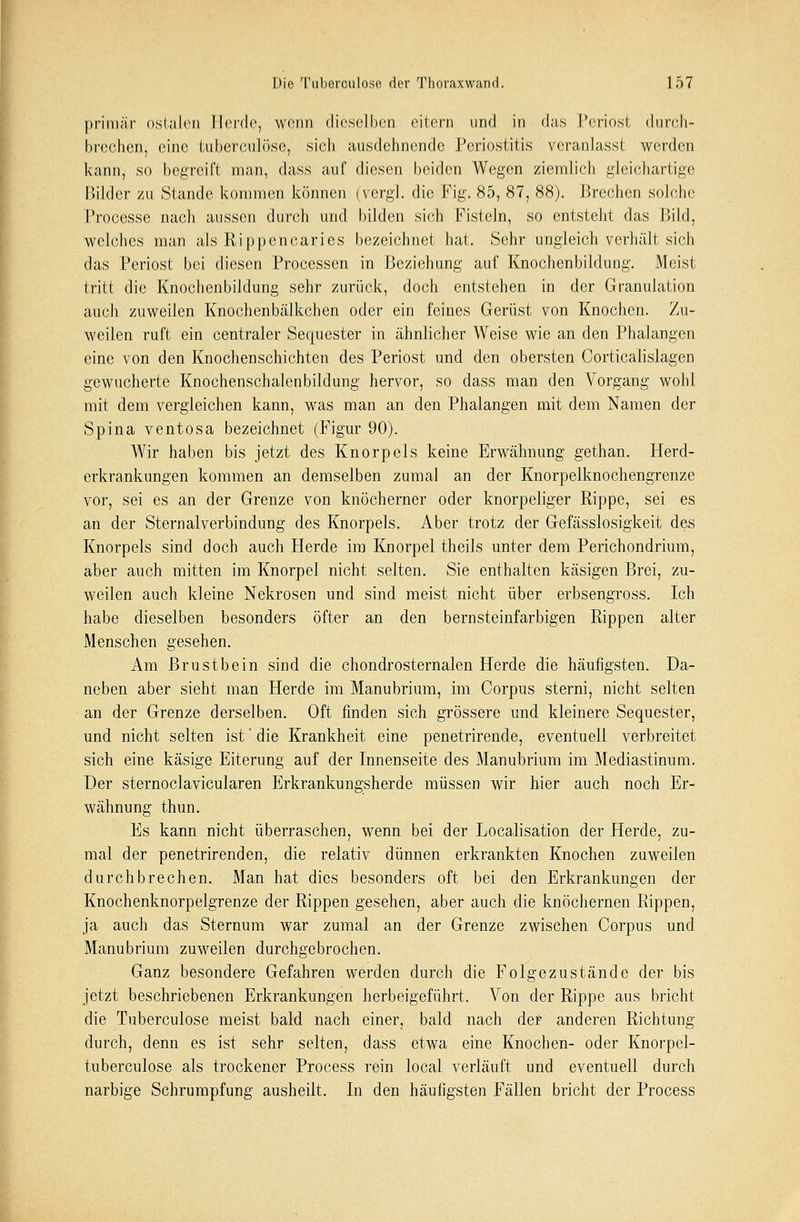 primär ostalen Herde, wenn dieselben eitern und in das Periost durch- brechen, eine tuberculose, sich ausdehnende Periostitis veranlasst werden kann, so begreift man, dass auf diesen beiden Wegen ziemlich gleichartige Bilder zu Stande kommen können (vergl. die Fig. 85, 87, 88). Brechen solche Processe nach aussen durch und bilden sich Fisteln, so entsteht das Bild, welches man als Rippencarics bezeichnet hat. Sehr ungleich verhält sich das Periost bei diesen Processen in Beziehung auf Knochenbildung. Meist tritt die Knochenbildung sehr zurück, doch entstehen in der Granulation auch zuweilen Knochenbälkchen oder ein feines Gerüst von Knochen. Zu- weilen ruft ein centraler Sequester in ähnlicher Weise wie an den Phalangen eine von den Knochenschichten des Periost und den obersten Corticalislagen gewucherte Knochenschalenbildung hervor, so dass man den Vorgang wohl mit dem vergleichen kann, was man an den Phalangen mit dem Namen der Spina ventosa bezeichnet (Figur 90). Wir haben bis jetzt des Knorpels keine Erwähnung gethan. Herd- erkrankungen kommen an demselben zumal an der Knorpelknochengrenze vor, sei es an der Grenze von knöcherner oder knorpeliger Rippe, sei es an der Sternalverbindung des Knorpels. Aber trotz der Gefässlosigkeit des Knorpels sind doch auch Herde im Knorpel theils unter dem Perichondrium, aber auch mitten im Knorpel nicht selten. Sie enthalten käsigen Brei, zu- weilen auch kleine Nekrosen und sind meist nicht über erbsengross. Ich habe dieselben besonders öfter an den bernsteinfarbigen Rippen alter Menschen gesehen. Am Brustbein sind die chondrosternalen Herde die häufigsten. Da- neben aber sieht man Herde im Manubrium, im Corpus sterni, nicht selten an der Grenze derselben. Oft finden sich grössere und kleinere Sequester, und nicht selten ist' die Krankheit eine penetrirende, eventuell verbreitet sich eine käsige Eiterung auf der Innenseite des Manubrium im Mediastinum. Der sternoclavicularen Erkrankungsherde müssen wir hier auch noch Er- wähnung thun. Es kann nicht überraschen, wenn bei der Localisation der Herde, zu- mal der penetrirenden, die relativ dünnen erkrankten Knochen zuweilen durchbrechen. Man hat dies besonders oft bei den Erkrankungen der Knochenknorpelgrenze der Rippen gesehen, aber auch die knöchernen Rippen, ja auch das Sternum war zumal an der Grenze zwischen Corpus und Manubrium zuweilen durchgebrochen. Ganz besondere Gefahren werden durch die Folgezustände der bis jetzt beschriebenen Erkrankungen herbeigeführt. Von der Rippe aus bricht die Tuberculose meist bald nach einer, bald nach der anderen Richtung durch, denn es ist sehr selten, dass etwa eine Knochen- oder Knorpel- tuberculose als trockener Process rein local verläuft und eventuell durch narbige Schrumpfung ausheilt. In den häufigsten Fällen bricht der Process