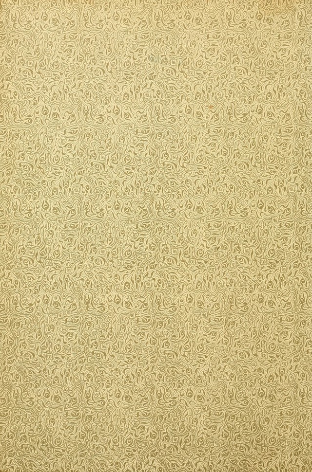 digitised image 2