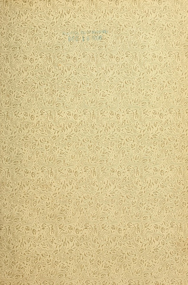 digitised image 3