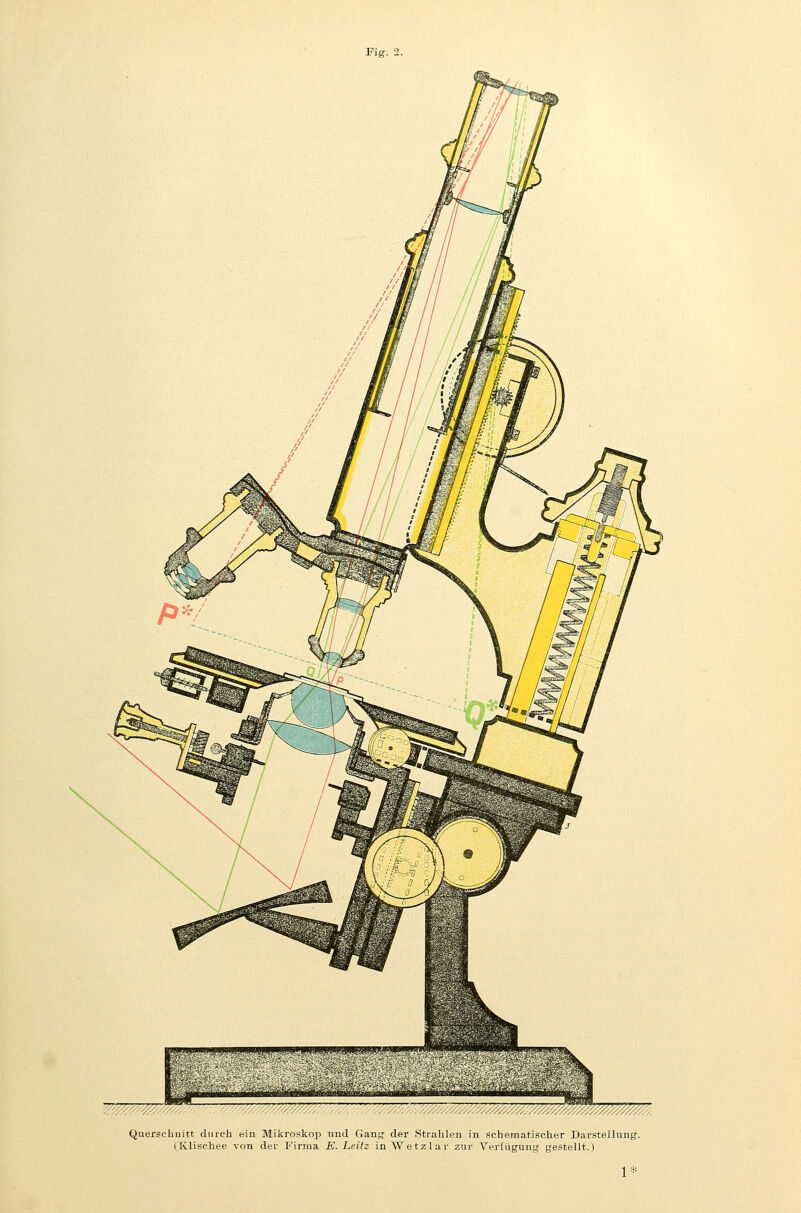 WP~T^ /. ....y/y/y/./y. ■y^y/.///y^^////y//M:y. Querschnitt durch ein Mikroskop und Gang der Strahlen in schematischer Darstellung. (Klischee von der Firma E. Leitz in Wetzlar zur Verfügung gestellt.)