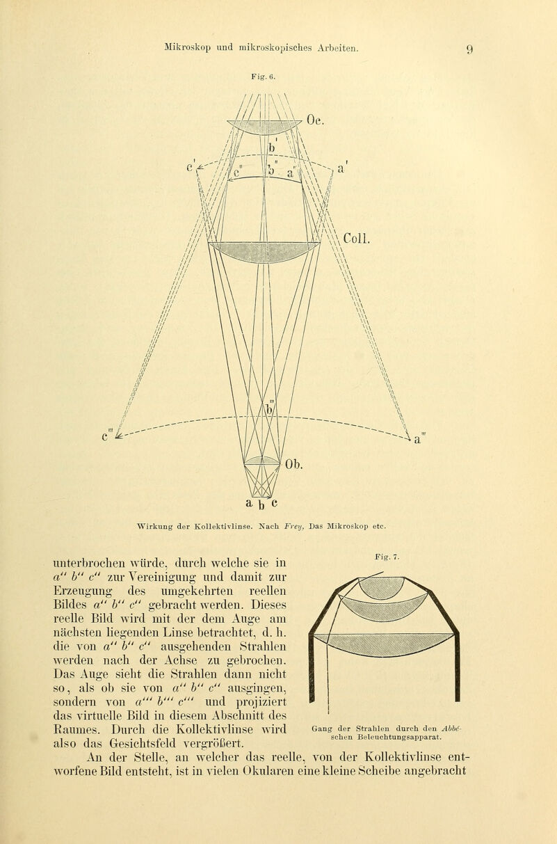 AI/V Wirkung der Kollektivlinse. Nach Frey, Das Blikroskop etc. Fig. 7. unterbrochen würde, durch welche sie in a b c zur Vereinigung und damit zur Erzeugung des umgekehrten reellen Bildes a h c gebracht werden. Dieses reelle Bild wird mit der dem Auge am nächsten liegenden Linse betrachtet, d. h. die von a h c ausgehenden Strahlen werden nach der Achse zu gebrochen. Das Auge sieht die Strahlen dann nicht so, als ob sie von a h c ausgingen, sondern von a' h' c' und projiziert das virtuelle Bild in diesem Abschnitt des Raumes. Durch die Kollektivlinse wird also das Gesichtsfeld vergrößert. An der Stelle, an welcher das reelle, von der Kollektivlinse ent- worfene Bild entsteht, ist in vielen Okularen eine kleine Scheibe angebracht Gang der Strahlen durch den AhM- schen Beleuchtungsapparat.