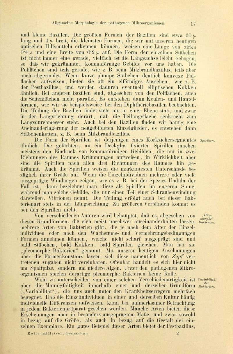 und kleine Bazillen. Die größten Formen der Bazillen sind etwa 30 i^. lang nnd 4 f^- breit, die kleinsten Formen, die wir mit unseren heutigen optischen Hilfsmitteln erkennen können, weisen eine Länge von zirka 0*4 p. und eine Breite von 0*2 [x auf. Die Form der einzelnen Stäbchen ist nicht immer eine gerade, vielfach ist die Längsachse leicht gebogen, so daß wir gekrümmte, kommaförmige Gebilde vor uns haben. Die Polflächen sind teils gerade, wie z. B. beim Milzbrandbazillus, teils aber auch abgerundet. Wenn kurze plumpe Stäbchen deutlich konvexe Pol- fiächen aufweisen, bieten sie oft ein eiförmiges Aussehen, wie z. B. der Pestbazillus, und werden dadurch eventuell elliptischen Kokken ähnlich. Bei anderen Bazillen sind, abgesehen von den Polflächen, auch die Seitenflächen nicht parallel. Es entstehen dann Keulen- und Hantel- formen, wie wir sie beispielsweise bei den Diphtheriebazillen beobachten. Die Teilung der Bazillen findet stets nur in einer Ebene statt, und zwar in der Längsrichtung derart, daß die Teilungsfläche senkrecht zum Längsdurchmesser steht. Auch bei den Bazillen finden wir häufig eine Aneinanderlagerung der neugebildeten Einzelglieder, es entstehen dann Stäbchenketten, z. B. beim Milzbrandbazillus. Die Form der Spirillen ist derjenigen eines Korkziehersegmentes spinuen. ähnlich. Die gefärbten, an ein Deckglas fixierten Spirillen machen meistens den Eindruck von kommaförmigen Gebilden, die nur in zwei Richtungen des Raumes Krümmungen aufweisen, in Wirklichkeit aber sind die Spirillen nach allen drei Richtungen des Raumes hin ge- krümmt. Auch die Spirillen weisen die markantesten Unterschiede be- züglich ihrer Größe auf. Wenn die Einzelindividuen mehrere oder viele ausgeprägte Windungen zeigen, wie es z. B. bei der Spezies ündula der Fall ist, dann bezeichnet man diese als Spirillen im engeren Sinne, Avährend man solche Gebilde, die nur einen Teil einer Schraubenwindung darstellen, Vibrionen nennt. Die Teilung erfolgt auch bei dieser Bak- terienart stets in der Längsrichtung. Zu größeren Verbänden kommt es bei den Spirillen nicht. Von verschiedenen Autoren wird behauptet, daß es, abgesehen von ,,««0- diesen Grundformen, die sich meist unschwer auseinanderhalten lassen, Bakterien. mehrere Arten von Bakterien gibt, die je nach dem Alter der Einzel- individuen oder nach den Wachstums- und Vermehrungsbedingungen Formen annehmen können, welche nicht scharf ausgeprägt sind und bald Stäbchen, bald Kokken, bald Spirillen gleichen. Man hat sie „pleomorphe Bakterien genannt. Mit unseren heutigen Anschauungen über die Formenkonstanz lassen sich diese namentlich von Zopf ver- tretenen Angaben nicht vereinbaren. Offenbar handelt es sich hier nicht um Spaltpilze, sondern um niedere Algen. Unter den pathogenen Mikro- organismen spielen derartige pleomorphe Bakterien keine Rolle. Wohl zu unterscheiden von einer solchen Verschiedenartigkeit ist variauimt aber die Mannigfaltigkeit innerhalb einer und derselben Grundform BaktZ-ien. („Variabilität), die uns auch unter den Krankheitserregern mehrfach begegnet. Daß die Einzelindividuen in einer und derselben Kultur häufig individuelle Diflerenzen aufweisen, kann bei aufmerksamer Betrachtung in jedem Bakterienpräparat gesehen werden. Manche Arten bieten diese Erscheinungen aber in besonders ausgeprägtem Maße, und zwar sowohl in bezug auf die Größe, als auch in bezug auf die Gestalt der ein- zelnen Exemplare. Ein gutes Beispiel dieser Arten bietet der Pestbazillus,