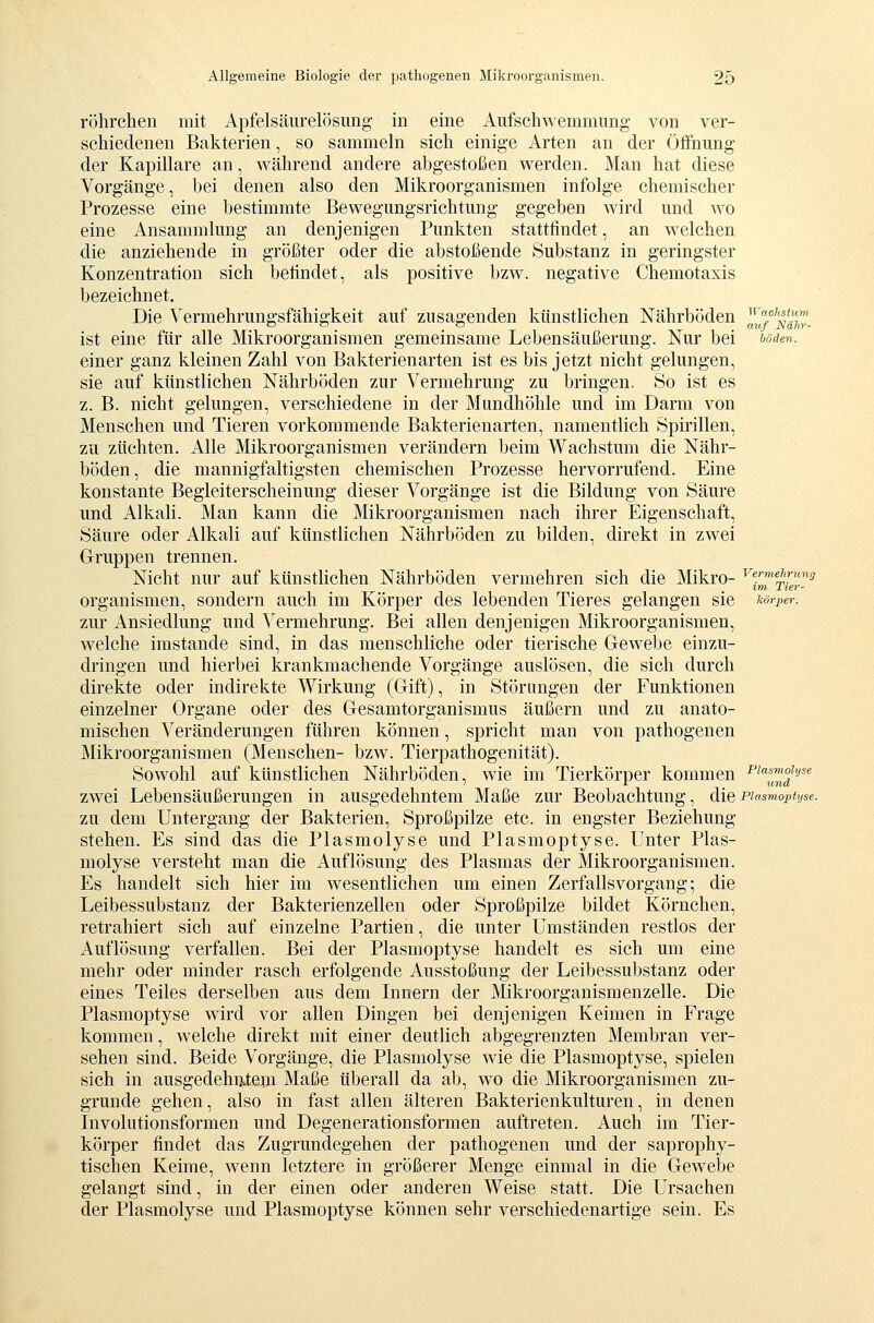 röhrcheii mit Apfelsäurelösnng in eine Aufschwemmung von ver- schiedenen Bakterien, so sammehi sich einige Arten an der Öffnung der Kapillare an, während andere abgestoßen werden. Man hat diese Vorgänge, bei denen also den Mikroorganismen infolge chemischer Prozesse eine bestimmte Bewegungsrichtung gegeben wird und wo eine Ansammlung an denjenigen Punkten stattfindet, an welchen die anziehende in größter oder die abstoßende Substanz in geringster Konzentration sich befindet, als positive bzw. negative Chemotaxis bezeichnet. Die Vermehrungsfähigkeit auf zusagenden künstlichen Nährböden '««''f.«™ ~ ~ O auf Tsahr- ist eine für alle Mikroorganismen gemeinsame Lebensäußerung. Nur bei ^oden. einer ganz kleinen Zahl von Bakterienarten ist es bis jetzt nicht gelungen, sie auf künstlichen Nährböden zur Vermehrung zu bringen. So ist es z. B. nicht gelungen, verschiedene in der Mundhöhle und im Darm von Menschen und Tieren vorkommende Bakterienarten, namentlich Spirillen, zu züchten. Alle Mikroorganismen verändern beim Wachstum die Nähr- böden, die mannigfaltigsten chemischen Prozesse hervorrufend. Eine konstante Begleiterscheinung dieser Vorgänge ist die Bildung von Säure und Alkali. Man kann die Mikroorganismen nach ihrer Eigenschaft, Säure oder Alkali auf künstlichen Nährböden zu bilden, direkt in zwei Gruppen trennen. Nicht nur auf künstlichen Nährböden vermehren sich die Mikro- ^YmTiey Organismen, sondern auch im Körper des lebenden Tieres gelangen sie körimr. zur Ansiedlung und Vermehrung. Bei allen denjenigen Mikroorganismen, welche imstande sind, in das menschlfche oder tierische Gewebe einzu- dringen und hierbei krankmachende Vorgänge auslösen, die sich durch direkte oder indirekte Wirkung (Gift), in Störungen der Funktionen einzelner Organe oder des Gesamtorganismus äußern und zu anato- mischen Veränderungen führen können, spricht man von pathogenen Mikroorganismen (Menschen- bzw. Tierpathogenität). Sowohl auf künstlichen Nährböden, wie im Tierkörper kommen ^^*™^''-'^^ zwei Lebensäußerungen in ausgedehntem Maße zur Beobachtung, diepiasmoptyse. zu dem Untergang der Bakterien, Sproßpilze etc. in engster Beziehung stehen. Es sind das die Plasmolyse und Plasmoptyse. Unter Plas- molyse versteht man die Auflösung des Plasmas der Mikroorganismen. Es handelt sich hier im wesentlichen um einen Zerfallsvorgang; die Leibessubstanz der Bakterienzellen oder Sproßpilze bildet Körnchen, retrahiert sich auf einzelne Partien, die unter Umständen restlos der Auflösung verfallen. Bei der Plasmoptyse handelt es sich um eine mehr oder minder rasch erfolgende Ausstoßung der Leibessubstanz oder eines Teiles derselben aus dem Innern der Mikroorganismenzelle. Die Plasmoptyse wird vor allen Dingen bei denjenigen Keimen in Frage kommen, welche direkt mit einer deutlich abgegrenzten Membran ver- sehen sind. Beide Vorgänge, die Plasmolyse wie die Plasmoptyse, spielen sich in ausgedehiitern Maße überall da ab, wo die Mikroorganismen zu- grunde gehen, also in fast allen älteren Bakterienkulturen, in denen Involutionsformen und Degenerationsformen auftreten. Auch im Tier- körper findet das Zugrundegehen der pathogenen und der saprophy- tischen Keime, wenn letztere in größerer Menge einmal in die Gewebe gelangt sind, in der einen oder anderen Weise statt. Die Ursachen der Plasmolyse und Plasmoptyse können sehr verschiedenartige sein. Es