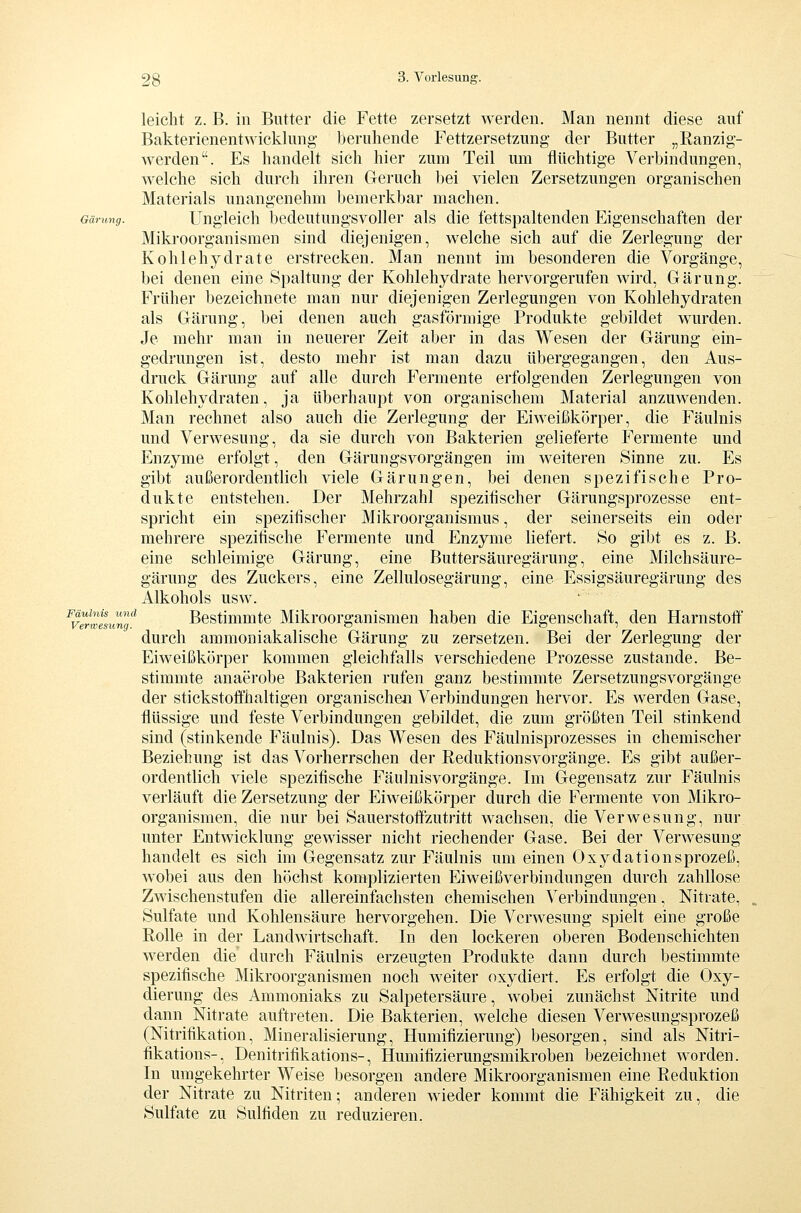 leicht z. B. in Butter die Fette zersetzt werden. Man nennt diese auf Bakterienentwicklung- beruhende Fettzersetzung der Butter „Ranzig- werden. Es handelt sich hier zum Teil um flüchtige Verbindungen, welche sich durch ihren Geruch bei vielen Zersetzungen organischen Materials unangenehm bemerkbar machen. Gärmtg. Ungleich bedeutungsvoller als die fettspaltenden Eigenschaften der Mikroorganismen sind diejenigen, welche sich auf die Zerlegung der Kohlehydrate erstrecken. Man nennt im besonderen die Vorgänge, bei denen eine ►Spaltung der Kohlehydrate hervorgerufen wird, Gärung. Früher bezeichnete man nur diejenigen Zerlegungen von Kohlehydraten als Gärung, bei denen auch gasförmige Produkte gebildet wurden. Je mehr man in neuerer Zeit aber in das Wesen der Gärung ein- gedrungen ist, desto mehr ist man dazu übergegangen, den Aus- druck Gärung auf alle durch Fermente erfolgenden Zerlegungen von Kohlehydraten, ja überhaupt von organischem Material anzuwenden. Man rechnet also auch die Zerlegung der Eiweißkörper, die Fäulnis und Verwesung, da sie durch von Bakterien gelieferte Fermente und Enzyme erfolgt, den GärungsVorgängen im weiteren Sinne zu. Es gibt außerordentlich viele Gärungen, bei denen spezifische Pro- dukte entstehen. Der Mehrzahl spezifischer Gärungsprozesse ent- spricht ein spezifischer Mikroorganismus, der seinerseits ein oder mehrere spezifische Fermente und Enzyme liefert. So gibt es z. B. eine schleimige Gärung, eine Buttersäuregärung, eine Milchsäure- gärung des Zuckers, eine Zellulosegärung, eine Essigsäuregärung des Alkohols usw. ^vTimsimg^ Bestimmtc Mikroorganismen haben die Eigenschaft, den Harnstoff durch ammoniakalische Gärung zu zersetzen. Bei der Zerlegung der Eiweißkörper kommen gleichfalls verschiedene Prozesse zustande. Be- stimmte anaerobe Bakterien rufen ganz bestimmte Zersetzungsvorgänge der stickstoffhaltigen organischen Verbindungen hervor. Es werden Gase, flüssige und feste Verbindungen gebildet, die zum größten Teil stinkend sind (stinkende Fäulnis). Das Wesen des Fäulnisprozesses in chemischer Beziehung ist das Vorherrschen der Reduktionsvorgänge. Es gibt außer- ordentlich viele spezifische Fäulnisvorgänge. Im Gegensatz zur Fäulnis verläuft die Zersetzung der Eiweißkörper durch die Fermente von Mikro- organismen, die nur bei Sauerstoffzutritt wachsen, die Verwesung, nur unter Entwicklung gewisser nicht riechender Gase. Bei der Verwesung handelt es sich im Gegensatz zur Fäulnis um einen Oxydationsprozeß, wobei aus den höchst komplizierten Eiweißverbindungen durch zahllose Zwischenstufen die allereinfachsten chemischen Verbindungen, Nitrate, Sulfate und Kohlensäure hervorgehen. Die Verwesung spielt eine große Rolle in der Landwirtschaft. In den lockeren oberen Bodenschichten werden die durch Fäulnis erzeugten Produkte dann durch bestimmte spezifische Mikroorganismen noch weiter oxydiert. Es erfolgt die Oxy- dierung des Ammoniaks zu Salpetersäure, wobei zunächst Nitrite und dann Nitrate auftreten. Die Bakterien, welche diesen Verwesungsprozeß (Nitrifikation, Mineralisierung, Humifizierung) besorgen, sind als Nitri- fikations-, Denitrifikations-, Humifizierungsmikroben bezeichnet worden. In umgekehrter Weise besorgen andere Mikroorganismen eine Reduktion der Nitrate zu Nitriten; anderen wieder kommt die Fähigkeit zu, die Sulfate zu Sulfiden zu reduzieren.