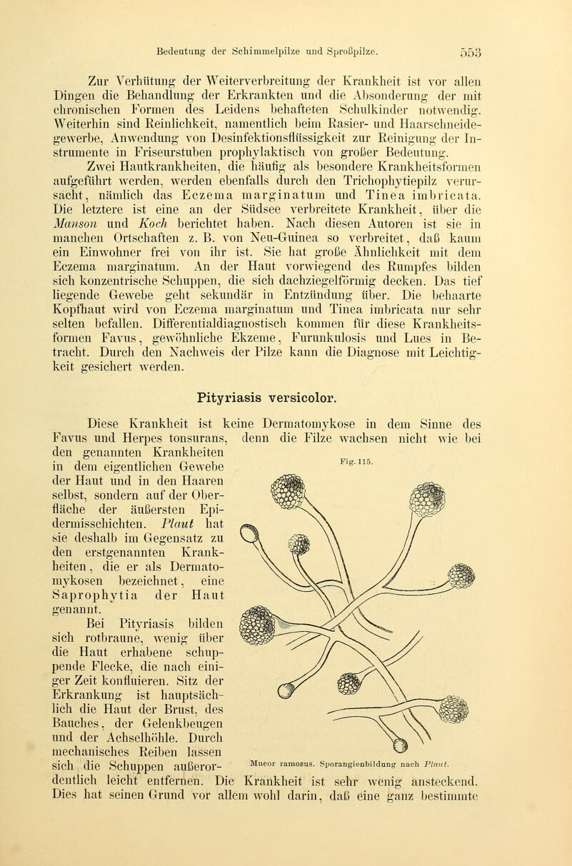 Zur Verhütung- der Weiterverbreitung der Krankheit ist vor allen Dingen die Behandlung der Erkrankten und die Absonderung der mit chronischen Formen des Leidens behafteten Schulkinder notwendig. Weiterhin sind Reinlichkeit, namentlich beim Rasier- und Haarschneide- gewerbe, Anwendung von Desinfektionsflüssigkeit zur Reinigung der In- strumente in Friseurstuben prophylaktisch von großer Bedeutung. Zwei Hautkrankheiten, die häufig als besondere Krankheitsformen aufgeführt werden, werden ebenfalls durch den Trichophytiepilz verur- sacht, nämlich das Eczema marginatum und Tinea imbricata. Die letztere ist eine an der Südsee verbreitete Krankheit, über die Manson und Koch berichtet haben. Nach diesen Autoren ist sie in manchen Ortschaften z.B. von Neu-Guinea so verbreitet, daß kaum ein Einwohner frei von ihr ist. Sie hat große Ähnlichkeit mit dem Eczema marginatum. An der Haut vorwiegend des Rumpfes bilden sich konzentrische Schuppen, die sich dachziegelförmig decken. Das tief liegende Gewebe geht sekundär in Entzündung über. Die behaarte Kopfhaut wird von Eczema marginatum und Tinea imbricata nur sehr selten befallen. Differentialdiagnostisch kommen für diese Krankheits- formen Favus, gew^öhnliche Ekzeme, Furunkulosis und Lues in Be- tracht. Durch den Nachweis der Pilze kann die Diagnose mit Leichtig- keit gesichert werden. Pityriasis versicolor. Diese Krankheit ist keine Dermatomykose in dem Sinne des Favus und Herpes tonsurans, denn die Filze wachsen nicht wie bei den genannten Krankheiten in dem eigentlichen Gewebe Fig.un. der Haut und in den Haaren selbst, sondern auf der Ober- fläche der äußersten Epi- dermisschichten. Plaut hat sie deshalb im Gegensatz zu den erstgenannten Krank- heiten , die er als Dermato- mykosen bezeichnet, eine Saprophytia der Haut genannt. Bei Pityriasis bilden sich rotbraune, wenig über die Haut erhabene schup- pende Flecke, die nach eini- ger Zeit konfluieren. Sitz der Erkrankung ist hauptsäch- lich die Haut der Brust, des Bauches, der Gelenkbeugen und der Achselhöhle. Durch mechanisches Reiben lassen sich die Schunnen aUßerOr- Mucor ramosus. Sporangienbildang nach Plaut. deutlich leicht entfernen. Die Krankheit ist sehr wenig ansteckend. Dies hat seinen Grund vor allem wohl darin, daß eine ganz bestimmte