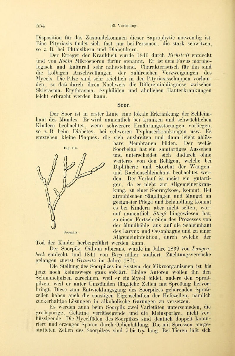 Disposition für das Zustandekommen dieser Saprophytie notwendig ist. Eine Pityriasis findet sich fast nur bei Personen, die stark scliwitzen, so z. B. bei Phthisikern und Diabetikern. Der Erreger der Krankheit wurde 1846 durch Eichstedt entdeckt und von Rohin Mikrosporon furfur genannt. Er ist dem Favus morpho- logisch und kulturell sehr nahestehend. Charakteristisch für ihn sind die kolbigen Anschwellungen der zahlreichen Verzweigungen des Mycels. Die Pilze sind sehr reichlich in den Pityriasisschuppen vorhan- den, so daß durch ihren Nachweis die Differentialdiagnose zwischen Sklerasma, Erythrasma, Syphiliden und ähnlichen Hauterkrankungen leicht erbracht werden kann. Soor. Der Soor ist in erster Linie eine lokale Erkrankung der Schleim- haut des Mundes. Er wird namentlich bei kranken und schwächlichen Kindern beobachtet, wenn schwerere Ernährungsstörungen vorliegen, so z. B. beim Diabetes, bei schweren Typhuserkrankungen usw. Es entstehen kleine Plaques, die sich ausbreiten und dann leicht ablös- bare Membranen bilden. Der weiße *''^-^^^- Soorbelag hat ein samtartiges Aussehen und unterscheidet sich dadurch ohne weiteres von den Belägen, welche bei Diphtherie und Skorbut der Wangen- und Rachenschleimhaut beobachtet wer- den. Der Verlauf ist meist ein gutarti- ger, da es nicht zur Allgemeinerkran- kung, zu einer Soormykose, kommt. Bei atrophischen Säuglingen und Mangel an geeigneter Pflege und Behandlung kommt es bei Kindern aber nicht selten, wor- auf namentlich Stooß hingewiesen hat, zu einem Fortschreiten des Prozesses von der Mundhöhle aus auf die Schleimhaut des Larynx und Oesophagus und zu einer Allgemeininfektion, durch welche der Tod der Kinder herbeigeführt werden kann. Der Soorpilz, Oidium albicans, wurde im Jahre 1839 von Langen- heck entdeckt und 1841 von Berg näher studiert. Züchtungsversuche gelangen zuerst Grawitz im Jahre 1871. Die Stellung des Soorpilzes im System der Mikroorganismen ist bis jetzt noch keineswegs ganz geklärt. Einige Autoren wollen ihn den Schimmelpilzen zurechnen, weil er ein Mycel bildet, andere den Sproß- pilzen, weil er unter Umständen längliche Zellen mit Sproßung hervor- bringt. Diese zum Entwicklungsgang des Soorpilzes gehörenden Sproß- zellen haben auch die sonstigen Eigenschaften der Hefezellen, nämlich zuckerhaltige Lösungen in alkoholische Gärungen zu versetzen. Es werden auch beim Soorpilz zwei Varietäten unterschieden, die großsporige, Gelatine verflüssigende und die kleinsporige, nicht ver- flüssigende. Die Mycelfäden des Soorpilzes sind deutlich doppelt kontu- riert und erzeugen Sporen durch Oidienbildung. Die mit Sprossen ausge- statteten Zellen des Soorpilzes sind 5 bis 6 u. lang. Bei Tieren läßt sich Soorpilz.