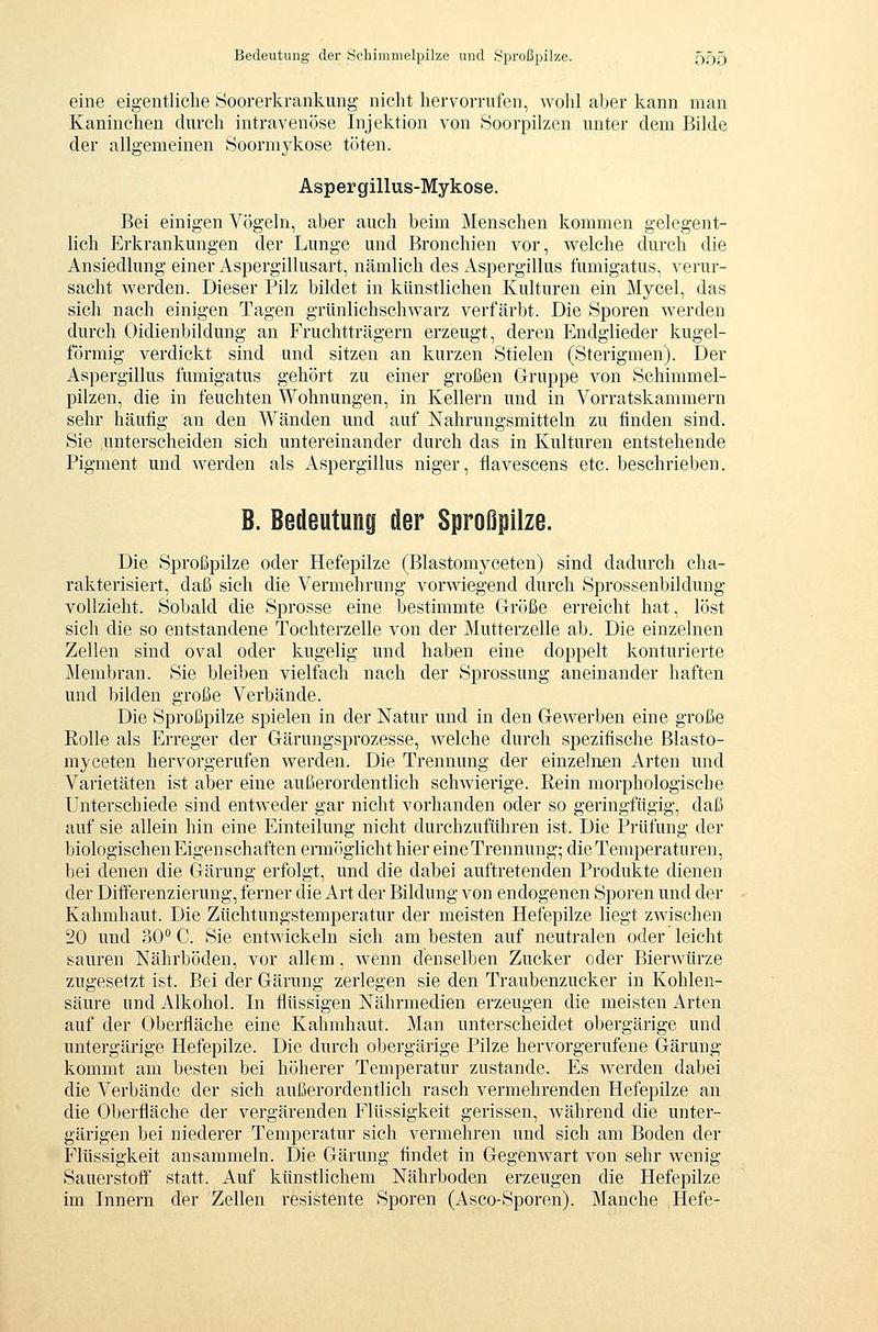 eine eigentliche Soorerkrankung nicht hervorrufen, wohl aber kann man Kaninchen durch intravenöse Injektion von Soorpilzen unter dem Bilde der allgemeinen Soormykose töten. Aspergillus-Mykose. Bei einigen Vögeln, aber auch beim Menschen kommen gelegent- lich Erkrankungen der Lunge und Bronchien vor, welche durch die Ansiedlung einer Aspergillusart, nämlich des Aspergillus fumigatus, verur- sacht werden. Dieser Pilz bildet in künstlichen Kulturen ein Mycel, das sich nach einigen Tagen grünlichschwarz verfärbt. Die Sporen werden durch Oidienbildung an Fruchtträgern erzeugt, deren Endglieder kugel- förmig verdickt sind und sitzen an kurzen Stielen (Sterigmen). Der Aspergillus fumigatus gehört zu einer großen Gruppe von Schimmel- pilzen, die in feuchten Wohnungen, in Kellern und in Vorratskammern sehr häufig an den Wänden und auf Nahrungsmitteln zu finden sind. Sie unterscheiden sich untereinander durch das in Kulturen entstehende Pigment und werden als Aspergillus niger, flavescens etc. beschrieben. B. Bedeutung der Sproßpilze. Die Sproßpilze oder Hefepilze (Blastomyceten) sind dadurch cha- rakterisiert, daß sich die Vermehrung vorwiegend durch Sprossenbildung vollzieht. Sobald die Sprosse eine bestimmte Größe erreicht hat, löst sich die so entstandene Tochterzelle von der Mutterzelle ab. Die einzelnen Zellen sind oval oder kugelig und haben eine doppelt konturierte Membran. Sie bleiben vielfach nach der Sprossung aneinander haften und bilden große Verbände. Die Sproßpilze spielen in der Natur und in den Gewerben eine große Rolle als Erreger der Gärungsprozesse, welche durch spezifische Blasto- myceten hervorgerufen werden. Die Trennung der einzelnen Arten und Varietäten ist aber eine außerordentlich schwierige. Rein morphologische Unterschiede sind entweder gar nicht vorhanden oder so geringfügig, daß auf sie allein hin eine Einteilung nicht durchzuführen ist. Die Prüfung der biologischen Eigenschaften ermöglicht hier eine Trennung; die Temperaturen, bei denen die Gärung erfolgt, und die dabei auftretenden Produkte dienen der Differenzierung, ferner die Art der Bildung von endogenen Sporen und der Kahmhaut. Die Züchtungstemperatur der meisten Hefepilze liegt zwischen 20 und 30° C. Sie entwickeln sich am besten auf neutralen oder leicht sauren Nährböden, vor allem, wenn denselben Zucker oder Bierwürze zugesetzt ist. Bei der Gärung zerlegen sie den Traubenzucker in Kohlen- säure und Alkohol. In flüssigen Nährmedien erzeugen die meisten Arten auf der Oberfläche eine Kahmhaut. Man unterscheidet obergärige und untergärige Hefepilze. Die durch obergärige Pilze hervorgerufene Gärung kommt am besten bei höherer Temperatur zustande. Es werden dabei die Verbände der sich außerordentlich rasch vermehrenden Hefepilze an die Oberfläche der vergärenden Flüssigkeit gerissen, während die unter- gärigen bei niederer Temperatur sich vermehren und sich am Boden der Flüssigkeit ansammeln. Die Gärung findet in Gegenwart von sehr wenig Sauerstoff statt. Auf künstlichem Nährboden erzeugen die Hefepilze im Innern der Zellen resistente Sporen (Asco-Sporen). Manche Hefe-