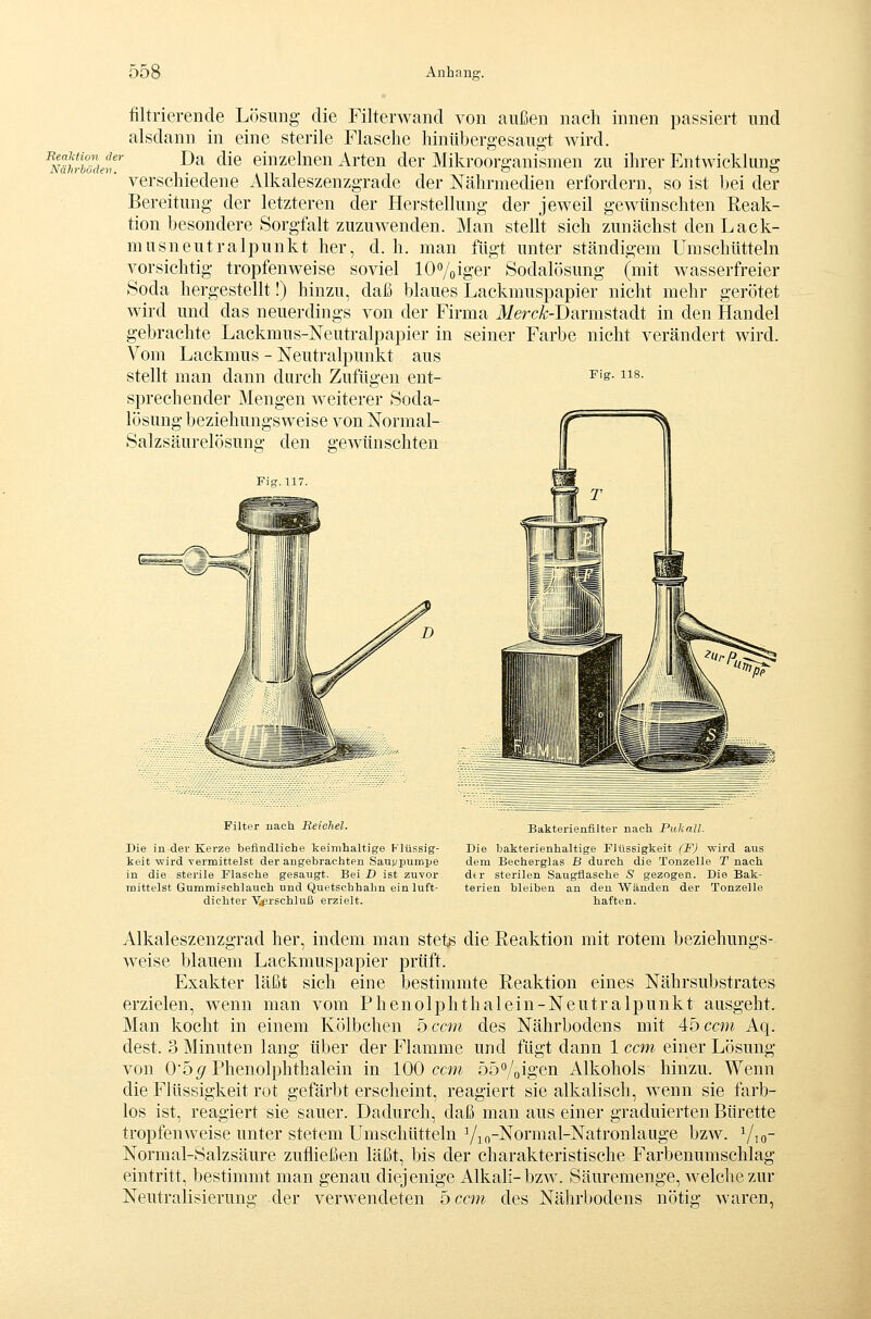 filtrierende Lösung die Filterwand von außen nach innen passiert und alsdann in eine sterile Flasche hinübergesaugt wird. J^^aktion der ]ja die einzelnen Arten der Mikroorganismen zu ihrer Entwicklang verschiedene Alkaleszenzgrade der Nährmedien erfordern, so ist bei der Bereitung der letzteren der Herstellung der jeweil gewünschten Reak- tion besondere Sorgfalt zuzuwenden. Man stellt sich zunächst den Lack- musneutr alpunkt her, d. h. man fügt unter ständigem Um schütteln vorsichtig tropfenweise soviel lOVoiger Sodalösung (mit wasserfreier Soda hergestellt!) hinzu, daß blaues Lackmuspapier nicht mehr gerötet wird und das neuerdings von der Firma i¥ercÄ;-Darmstadt in den Handel gebrachte Lackmus-Neutralpapier in seiner Farbe nicht verändert wird. Vom Lackmus - Neutralpunkt aus stellt man dann durch Zufügen ent- ^'s- ii^. sprechender Mengen weiterer Soda- lösung beziehungsweise von Normal- ^~' ^ Salzsäurelösung den gewünschten Filter nach Reichel. Die in der Kerze befindliche keimhaltige Flüssig- keit wird vermittelst der angebrachten Sau^^pumpe in die sterile Flasche gesaugt. Bei D ist zuvor mittelst Gummischlauch und Quetschhahn ein luft- dichter V^prschluß erzielt. Bakterienfilter nach Pukall. Die bakterienhaltige Flüssigkeit (F) wird aus dem Becherglas B durch die Tonzelle T nach dtr sterilen Saugflasche S gezogen. Die Bak- terien bleiben an den Wänden der Tonzelle haften. Alkaleszenzgrad her, indem man stets die Reaktion mit rotem beziehungs- weise blauem Lackmuspapier prüft. Exakter läßt sich eine bestimmte Reaktion eines Nährsubstrates erzielen, wenn man vom Phenolphthalein-Neutralpunkt ausgeht. Man kocht in einem Kölbchen bccni des Nährbodens mit Abccm Aq. dest. 3 Minuten lang über der Flamme und fügt dann 1 ccm einer Lösung von 0'55/Phenolphthalein in 100 ccm 5oo/uigen Alkohols hinzu. Wenn die Flüssigkeit rot gefärbt erscheint, reagiert sie alkalisch, wenn sie farb- los ist, reagiert sie sauer. Dadurch, daß man aus einer graduierten Bürette tropfenweise unter stetem Umschütteln Yio-Normal-Natronlauge bzw. Vio Normal-Salzsäure zufließen läßt, bis der charakteristische Farbenumschlag eintritt, bestimmt man genau diejenige Alkali-bzw. Säuremenge, welche zur Neutralisierung der verwendeten bccm des Nährbodens nötio- waren,