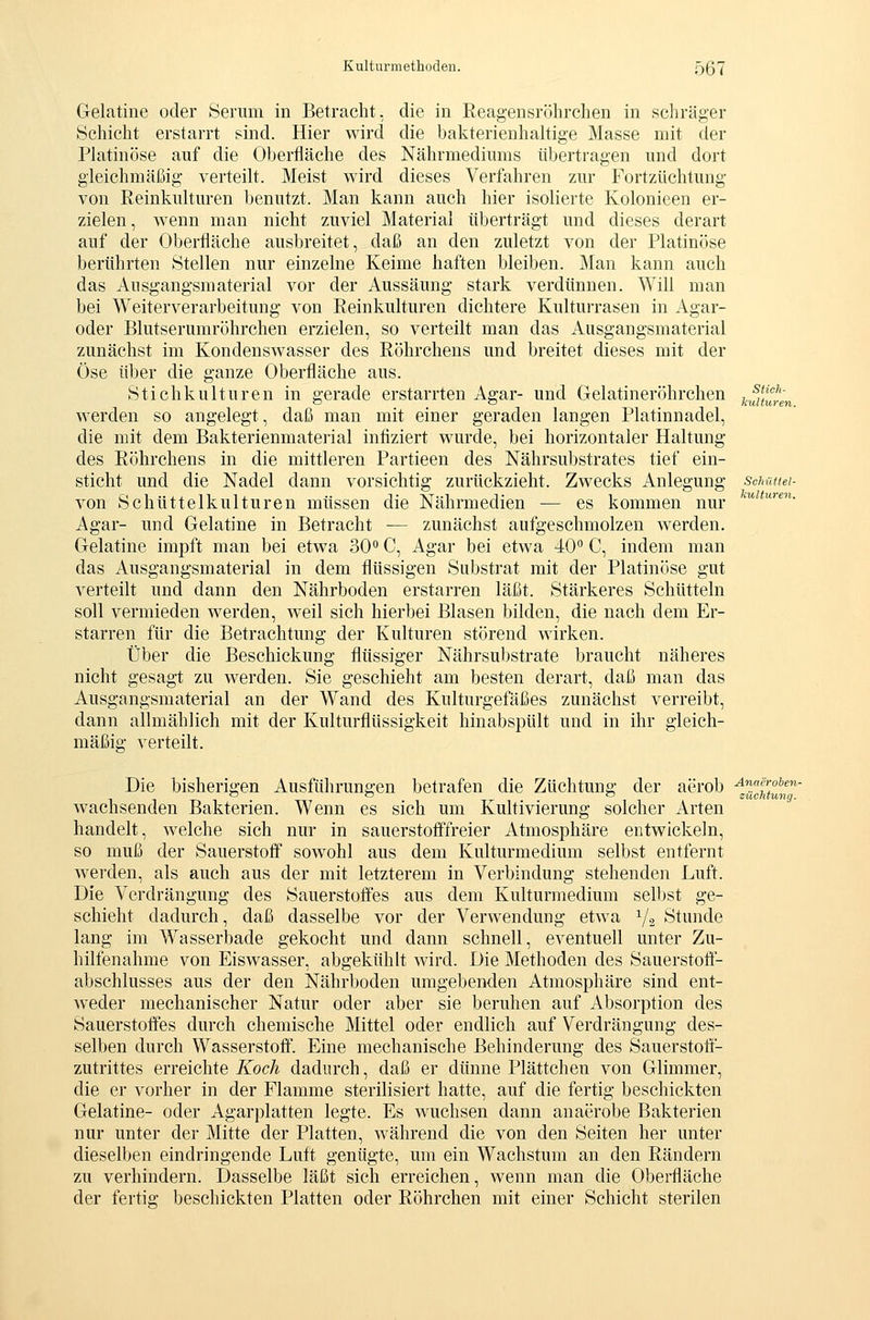 Gelatine oder Serum in Betracht, die in Reagensröhrchen in schräger Schicht erstarrt sind. Hier wird die bakterienhaltige Masse mit der Platinöse auf die Oberfläche des Nährmediums übertragen und dort gleichmäßig verteilt. Meist wird dieses Verfahren zur Fortzüchtung von Reinkulturen benutzt. Man kann auch hier isolierte Kolonieen er- zielen, wenn man nicht zuviel Material überträgt und dieses derart auf der Oberfläche ausbreitet, daß an den zuletzt von der Platinöse berührten Stellen nur einzelne Keime haften bleiben. Man kann auch das Ausgangsmaterial vor der Aussäung stark verdünnen. Will man bei Weiterverarbeitung von Reinkulturen dichtere Kulturrasen in Agar- oder Blutserumröhrchen erzielen, so verteilt man das Ausgangsmaterial zunächst im Kondenswasser des Röhrchens und breitet dieses mit der Öse über die ganze Oberfläche aus. Stichkulturen in gerade erstarrten Agar- und Gelatineröhrchen werden so angelegt, daß man mit einer geraden langen Platinnadel, die mit dem Bakterienmateiial infiziert wurde, bei horizontaler Haltung des Röhrchens in die mittleren Partieen des Nährsubstrates tief ein- sticht und die Nadel dann vorsichtig zurückzieht. Zwecks Anlegung von Schüttelkulturen müssen die Nährmedien — es kommen nur Agar- und Gelatine in Betracht — zunächst aufgeschmolzen werden. Gelatine impft man bei etwa 30° C, Agar bei etwa 40 C, indem man das Ausgangsmaterial in dem flüssigen Substrat mit der Platinöse gut verteilt und dann den Nährboden erstarren läßt. Stärkeres Schütteln soll vermieden werden, weil sich hierbei Blasen bilden, die nach dem Er- starren für die Betrachtung der Kulturen störend wirken. Über die Beschickung flüssiger Nährsubstrate braucht näheres nicht gesagt zu werden. Sie geschieht am besten derart, daß man das Ausgangsmaterial an der Wand des Kulturgefäßes zunächst verreibt, dann allmählich mit der Kulturflüssigkeit hinabspült und in ihr gleich- mäßig verteilt. Siioh- Jnüturen. Schüttel- hulturen. Die bisherigen Ausführungen betrafen die Züchtung der aerob •^««f';«*«'»- ~ ö o Züchtung. wachsenden Bakterien. Wenn es sich um Kultivierung solcher Arten handelt, welche sich nur in sauerstofffreier Atmosphäre entwickeln, so muß der Sauerstoff sowohl aus dem Kulturmedium selbst entfernt werden, als auch aus der mit letzterem in Verbindung stehenden Luft. Die Verdrängung des Sauerstoffes aus dem Kulturmedium selbst ge- schieht dadurch, daß dasselbe vor der Verwendung etwa Y2 Stunde lang im Wasserbade gekocht und dann schnell, eventuell unter Zu- hilfenahme von Eiswasser, abgekühlt wird. Die Methoden des Sauerstofl- abschlusses aus der den Nährboden umgebenden Atmosphäre sind ent- Aveder mechanischer Natur oder aber sie beruhen auf Absorption des Sauerstoffes durch chemische Mittel oder endlich auf Verdrängung des- selben durch Wasserstoff. Eine mechanische Behinderung des Sauerstofr- zutrittes erreichte Koch dadurch, daß er dünne Plättchen von Glimmer, die er vorher in der Flamme sterilisiert hatte, auf die fertig beschickten Gelatine- oder Agarplatten legte. Es wuchsen dann anaerobe Bakterien nur unter der Mitte der Platten, während die von den Seiten her unter dieselben eindringende Luft genügte, um ein Wachstum an den Rändern zu verhindern. Dasselbe läßt sich erreichen, wenn man die Oberfläche der fertig beschickten Platten oder Röhrchen mit einer Schicht sterilen