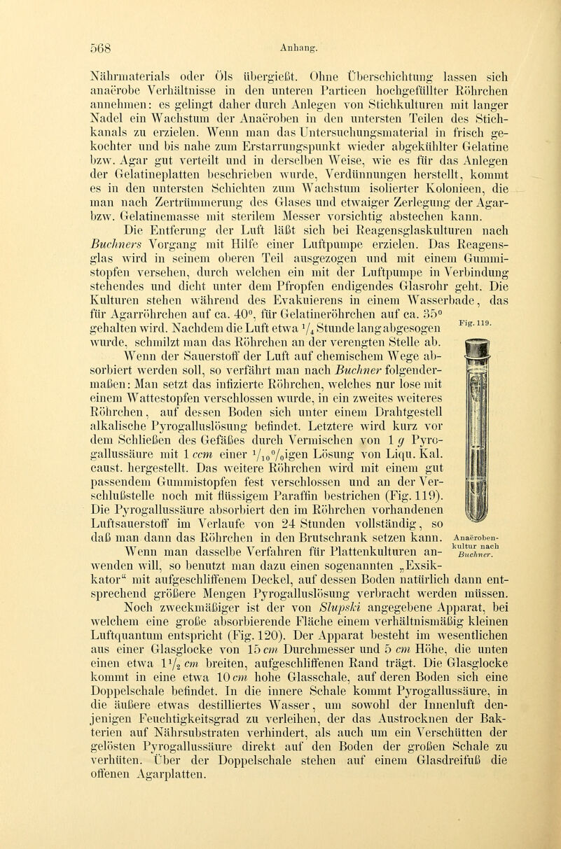 Fig. 119. Nährmaterials oder Öls tibergießt. Ohne Überschichtiing- lassen sich anaerobe Verhältnisse in den unteren Partieen hochgefüllter Röhrchen annehmen: es gelingt daher durch Anlegen von Stichkultiiren mit langer Nadel ein Wachstum der Anaeroben in den untersten Teilen des Stich- kanals zu erzielen. Wenn man das Untersuchungsmaterial in frisch ge- kochter und bis nahe zum Erstarrungspunkt wieder abgekühlter Gelatine bzw. Agar gut verteilt und in derselben Weise, wie es für das Anlegen der Gelatineplatten beschrieben wurde, Verdünnungen herstellt, kommt es in den untersten Schichten zum Wachstum isolierter Kolonieen, die man nach Zertrümmerung des Glases und etwaiger Zerlegung der Agar- bzw. Gelatinemasse mit sterilem Messer vorsichtig abstechen kann. Die Entferung der Luft läßt sich bei Reagensglaskulturen nach Büchners Vorgang mit Hilfe einer Luftpumpe erzielen. Das Reagens- glas wird in seinem oberen Teil ausgezogen und mit einem Gummi- stopfen versehen, durch welchen ein mit der Luftpumpe in Verbindung stehendes und dicht unter dem Pfropfen endigendes Glasrohr geht. Die Kulturen stehen während des Evakuierens in einem Wasserbade, das für Agarröhrchen auf ca. 40°, für Gelatineröhrchen auf ca. 35° gehalten wird. Nachdem die Luft etwa V4 Stunde lang abgesogen wurde, schmilzt man das Röhrchen an der verengten Stelle ab. Wenn der Sauerstoff der Luft auf chemischem Wege ab- sorbiert werden soll, so verfährt man nach Buchner folgender- maßen: Man setzt das intizierte Röhrchen, welches nur lose mit einem Wattestopfen verschlossen wurde, in ein zweites weiteres Röhrchen, auf dessen Boden sich unter einem Drahtgestell alkalische Pyrogalluslösung befindet. Letztere wird kurz vor dem Schließen des Gefäßes durch Vermischen von 1 g Pyro- gallussäure mit 1 ccm einer i/ioVoig^n Lösung von Liqu. Kai. caust. hergestellt. Das weitere Röhrchen wird mit einem gut passendem Gummistopfen fest verschlossen und an der Ver- schlußstelle noch mit flüssigem Paraffin bestrichen (Fig. 119). Die Pyrogallussäure absorbiert den im Röhrchen vorhandenen Luftsauerstoff im Verlaufe von 24 Stunden vollständig, so daß man dann das Röhrchen in den Brutschrank setzen kann. Wenn man dasselbe Verfahren für Plattenkulturen an- wenden will, so benutzt man dazu einen sogenannten „Exsik- kator mit aufgeschliffenem Deckel, auf dessen Boden natürlich dann ent- sprechend größere Mengen Pyrogalluslösung verbracht werden müssen. Noch zweckmäßiger ist der von Slupski angegebene Apparat, bei welchem eine große absorbierende Fläche einem verhältnismäßig kleinen Luftquantum entspricht (Fig. 120). Der Apparat besteht im wesentlichen aus einer Glasglocke von 15 cw Durchmesser und 5 c/w Höhe, die unten einen etwa 1^2 cwi breiten, aufgeschliffenen Rand trägt. Die Glasglocke kommt in eine etwa 10 cm hohe Glasschale, auf deren Boden sich eine Doppelschale befindet. In die innere Schale kommt Pyrogallussäure, in die äußere etwas destilliertes Wasser, um sowohl der Innenluft den- jenigen Feuchtigkeitsgrad zu verleihen, der das Austrocknen der Bak- terien auf Nährsubstraten verhindert, als auch um ein Verschütten der gelösten Pyrogallussäure direkt auf den Boden der großen Schale zu verhüten. Über der Doppelschale stehen auf einem Glasdreifuß die offenen Agarplatten. Anaeroben- kultur nach Büchner.