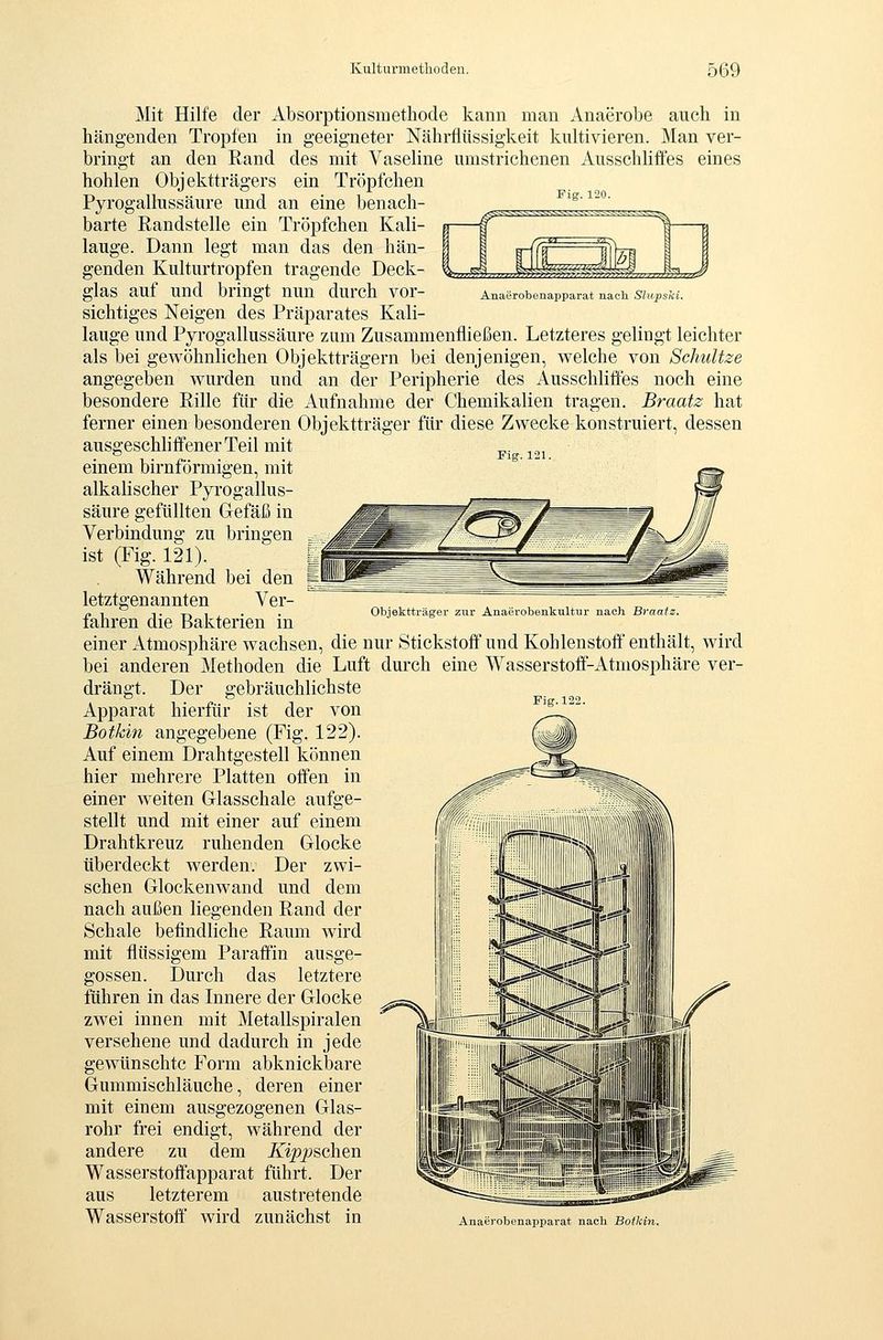 ^^-■^V^^V^^^-^v^^^V^^'~^^-'^^^^^■-^-^^V'^ Anaerobenapparat nach Shipski. Mit Hilfe der Absorptionsmethode kann man Anaerobe aucb in hängenden Tropten in geeigneter Nährfiiissigkeit kultivieren. Man ver- bringt an den Rand des mit Vaseline umstrichenen Ausschliffes eines hohlen Objektträgers ein Tröpfchen Pyrogallussäure und an eine benach- barte Randstelle ein Tröpfchen Kali- lauge. Dann legt man das den hän- genden Kulturtropfen tragende Deck- glas auf und bringt nun durch vor- sichtiges Neigen des Präparates Kali- lauge und Pyrogallussäure zum Zusammenfließen. Letzteres gelingt leichter als bei gewöhnlichen Objektträgern bei denjenigen, welche von Schultze angegeben wurden und an der Peripherie des Ausschliffes noch eine besondere Rille für die Aufnahme der Chemikalien tragen. Braatz hat ferner einen besonderen Objektträger für diese Zwecke konstruiert, dessen ausgeschlififenerTeil mit einem birnförmigen, mit alkalischer Pyrogallus- säure gefüllten Gefäß in Verbindung zu bringen ist (Fig. 121). Während bei den letztgenannten Ver- fahren die Bakterien in einer Atmosphäre wachsen, die nur Stickstoff und Kohlenstoff enthält, wird bei anderen Methoden die Luft durch eine Wasserstoff-Atmosphäre ver- drängt. Der gebräuchlichste Apparat hierfür ist der von Botkin angegebene (Fig. 122). Auf einem Drahtgestell können hier mehrere Platten offen in einer weiten G-lasschale aufge- stellt und mit einer auf einem Drahtkreuz ruhenden Glocke überdeckt werden. Der zwi- schen Glockenwand und dem nach außen liegenden Rand der Schale befindliche Raum wird mit flüssigem Paraffin ausge- gossen. Durch das letztere führen in das Innere der Glocke zwei innen mit Metallspiralen versehene und dadurch in jede gewünschte Form abknickbare Gummischläuche, deren einer mit einem ausgezogenen Glas- rohr frei endigt, während der andere zu dem Kipp^aYi^n Wasserstoffapparat führt. Der aus letzterem austretende Wasserstoff wird zunächst in Anaerob.napparat nach Botlim. Objektträger zur Anaerobenkultnr nach Braatz. Fig.122.