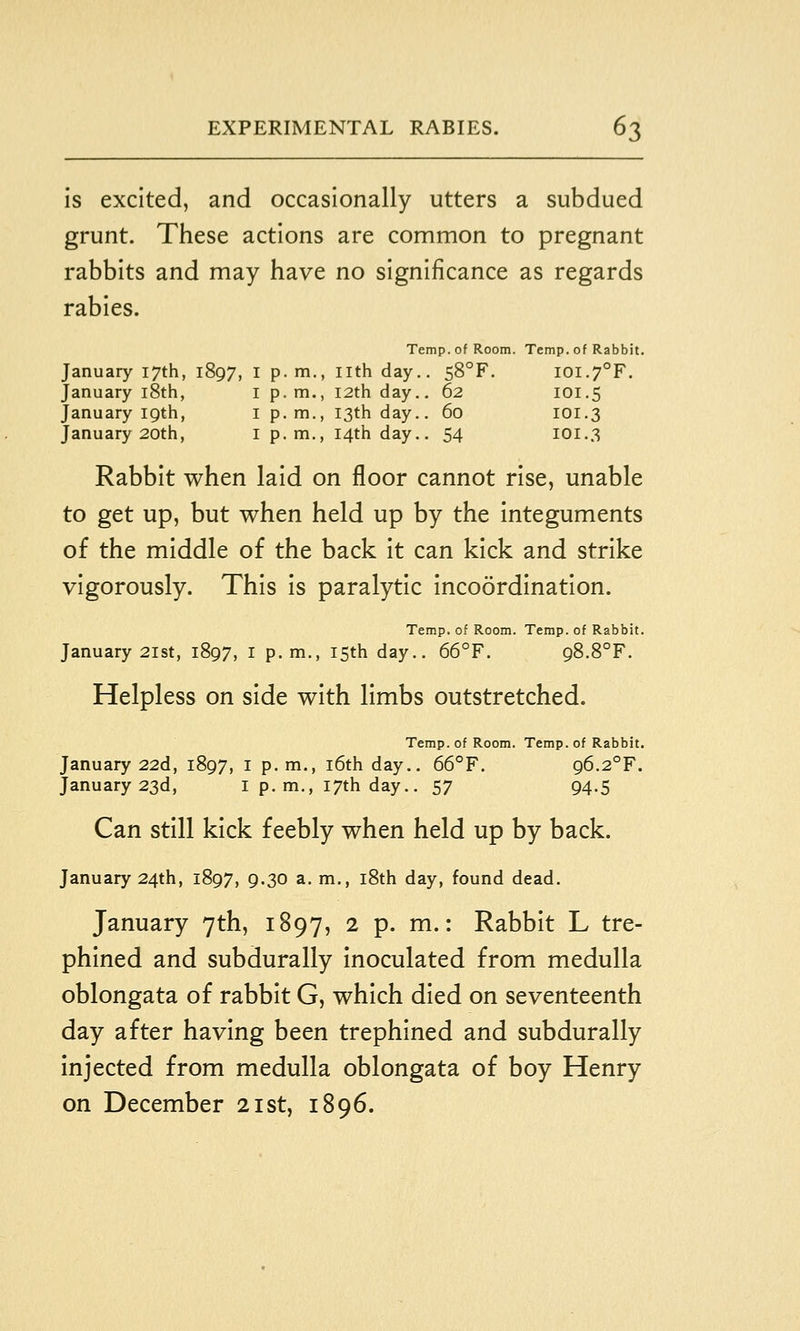 is excited, and occasionally utters a subdued grunt. These actions are common to pregnant rabbits and may have no significance as regards rabies. Temp, of Room. Temp, of Rabbit. January 17th, 1897, i p. m., nth day.. 58°F. I0I.7°F. January i8th, i p.m., I2th day., 62 IOI.5 January 19th, i p.m., 13th day.. 60 101.3 January 20th, i p.m., 14th day.. 54 101.3 Rabbit when laid on floor cannot rise, unable to get up, but when held up by the integuments of the middle of the back it can kick and strike vigorously. This is paralytic incoordination. Temp, of Room. Temp, of Rabbit. January 21st, 1897, i p. m., 15th day.. 66°F. 98.8°?. Helpless on side with limbs outstretched. Temp, of Room. Temp, of Rabbit. January 22d, 1897, I p.m., i6th day.. 66°F. 96.2°F. January 23d, I p. m., 17th day.. 57 94.5 Can still kick feebly when held up by back. January 24th, 1897, 9.30 a. m., l8th day, found dead. January 7th, 1897, 2 p. m.: Rabbit L tre- phined and subdurally Inoculated from medulla oblongata of rabbit G, which died on seventeenth day after having been trephined and subdurally Injected from medulla oblongata of boy Henry on December 21st, 1896.