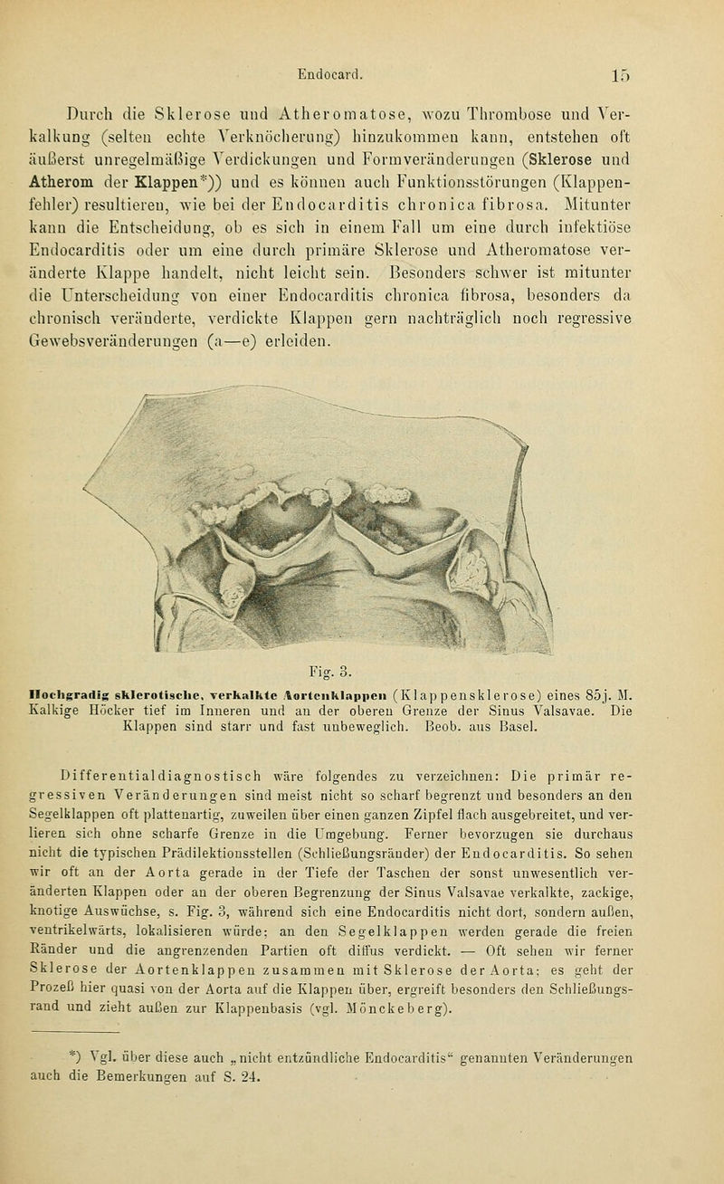 Durch die Sklerose und Atheromatose, wozu Thrombose und Ver- kalkung (selten echte Verknöcheriing) hinzukommen kann, entstehen oft äußerst unregelmäßige Verdickungen und Formveränderungen (Sklerose und Atherom der Klappen')) und es können auch Funktionsstörungen (Klappen- fehler) resultieren, wie bei der Endocarditis chronica fibrosa. Mitunter kann die Entscheidung, ob es sich in einem Fall um eine durch infektiöse Endocarditis oder um eine durch primäre Sklerose und Atheromatose ver- änderte Klappe handelt, nicht leicht sein. Besonders schwer ist mitunter die Unterscheidung von einer Endocarditis chronica fibrosa, besonders da chronisch veränderte, verdickte Klappen gern nachträglich noch regressive Gewebsveränderungen (a—e) erleiden. Fig. 3. Ilochgrailig sklerotische, Terk.ilkle .tortciiklnpiicii (Klappensklerose) eines 85j. M. Kalkige Höcker tief im Inneren und an der oberen Grenze der Sinus Valsavae. Die Klappen sind starr und fast unbeweglich. Beob. aus Basel. Differentialdiagnostisch wäre folgendes zu verzeichnen: Die primär re- gressiven Veränderungen sind meist nicht so scharf begrenzt und besonders an den Segelklappen oft plattenartig, zuweilen über einen ganzen Zipfel flach ausgebreitet, und ver- lieren sich ohne scharfe Grenze in die Umgebung. Ferner bevorzugen sie durchaus nicht die typischen Prädilektionsstellen (Schließungsräuder) der Endocarditis. So sehen wir oft an der Aorta gerade in der Tiefe der Taschen der sonst unwesentlich ver- änderten Klappen oder an der oberen Begrenzung der Sinus Valsavae verkalkte, zackige, knotige Auswüchse, s. Fig. 3, während sich eine Endocarditis nicht dort, sondern aui3en, ventrikelwärts, lokalisieren würde; an den Segelklappen werden gerade die freien Ränder und die angrenzenden Partien oft diffus verdickt. — Oft sehen wir ferner Sklerose der Aortenklappen zusammen mit Sklerose der Aorta; es geht der Prozeß hier quasi von der Aorta auf die Klappen über, ergreift besonders den Schließungs- rand und zieht außen zur Klappenbasis (vgl. Mönckeberg). '*) \ gl. über diese auch „nicht entzündliche Endocarditis genannten Veränderungen auch die Bemerkungen auf S. 24.