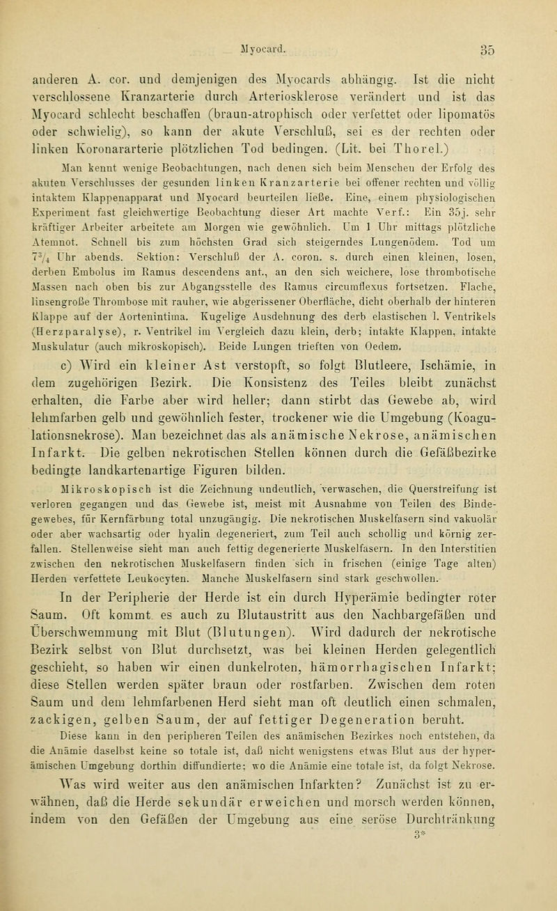 anderen A. cor. und demjenigen des Myocards abhängig. Ist die nicht verschlossene Kranzarterie durch Arteriosklerose verändert und ist das Myocard schlecht beschaffen (braun-atrophisch oder verfettet oder lipomatös oder schwielig), so kann der akute Verschluß, sei es der rechten oder linken Koronararterie plötzlichen Tod bedingen. (Lit. bei Thorel.) Man kennt wenige Beobachtung-en, nach denen sich beim Menschen der Erfolg des atnten Verschlusses der gesunden linken Kranzarterie bei offener rechten und völlig intaktem Klappenapparat und Myocard beurteilen ließe. Eine, einem physiologischen Experiment fast gleich-nertige Beobachtung dieser Art machte Verf.: Ein 35j. sehr kräftiger Arbeiter arbeitete am Morgen wie gewöhnlich. Um 1 Uhr mittags plötzliche Atemnot. Schnell bis zum höchsten Grad sich steigerndes Lungenödem. Tod um 7^/4 Uhr abends. Sektion: Verschluß der A. coron. s. durch einen kleinen, losen, derben Embolus im Ramus descendens ant., an den sich weichere, lose thrombotische Massen nach oben bis zur Abgangsstelle des Ramus circumflexus fortsetzen. Flache, linsengroße Thrombose mit rauher, wie abgerissener Oberfläche, dicht oberhalb der hinteren Klappe auf der Aortenintima. Kugelige Ausdehnung des derb elastischen 1. Ventrikels (Herzparalyse), r. Ventrikel im Vergleich dazu klein, derb; intakte Klappen, intakte Muskulatur (auch mikroskopisch). Beide Lungen trieften von Oedem. c) Wird ein kleiner Ast verstopft, so folgt Blutleere, Ischämie, in dem zugehörigen Bezirk. Die Konsistenz des Teiles bleibt zunächst erhalten, die Farbe aber wird heller; dann stirbt das Gewebe ab, wird lehmfarben gelb und gewöhnlich fester, trockener wie die Umgebung (Koagu- lationsnekrose). Man bezeichnet das als anämische Nekrose, anämischen Infarkt. Die gelben nekrotischen Stellen können durch die Gefäßbeziike bedingte landkartenartige Figuren bilden. Mikroskopisch ist die Zeichnung undeutlich, verwaschen, die Querstreifung ist verloren gegangen und das Gewebe ist, meist mit Ausnahme von Teilen des Binde- gewebes, für Kernfärbung total unzugängig. Die nekrotischen Muskelfasern sind vakuolär oder aber wachsartig oder hyalin degeneriert, zum Teil auch schollig und körnig zer- fallen. Stellenweise sieht man auch fettig degenerierte Muskelfasern. In den Interstitien zwischen den nekrotischen Muskelfasern finden sich in frischen (einige Tage alten) Herden verfettete Leukocyten. Manche Muskelfasern sind stark geschwollen. In der Peripherie der Herde ist ein durch Hyperämie bedingter roter Saum. Oft kommt es auch zu Blutaustritt aus den Nachbargefäßen und Überschwemmung mit Blut (Blutungen). Wird dadurch der nekrotische Bezirk selbst von Blut durchsetzt, was bei kleinen Herden gelegentlich geschieht, so haben wir einen dunkelroten, hämorrhagischen Infarkt; diese Stellen M^erden später braun oder rostfarben. Zwischen dem roten Saum und dem lehmfarbenen Herd sieht man oft deutlich einen schmalen, zackigen, gelben Saum, der auf fettiger Degeneration beruht. Diese kann in den peripheren Teilen des anämischen Bezirkes noch entstehen, da die Anämie daselbst keine so totale ist, daß nicht wenigstens etwas Blut aus der hyper- ämischen Umgebung dorthin diffundierte; wo die Anämie eine totale ist, da folgt Nekrose. Was wird weiter aus den anämischen Infarkten? Zunächst ist zu er- wähnen, daß die Herde sekundär erweichen und morsch werden können, indem von den Gefäßen der Umgebung aus eine seröse Durchtränkung