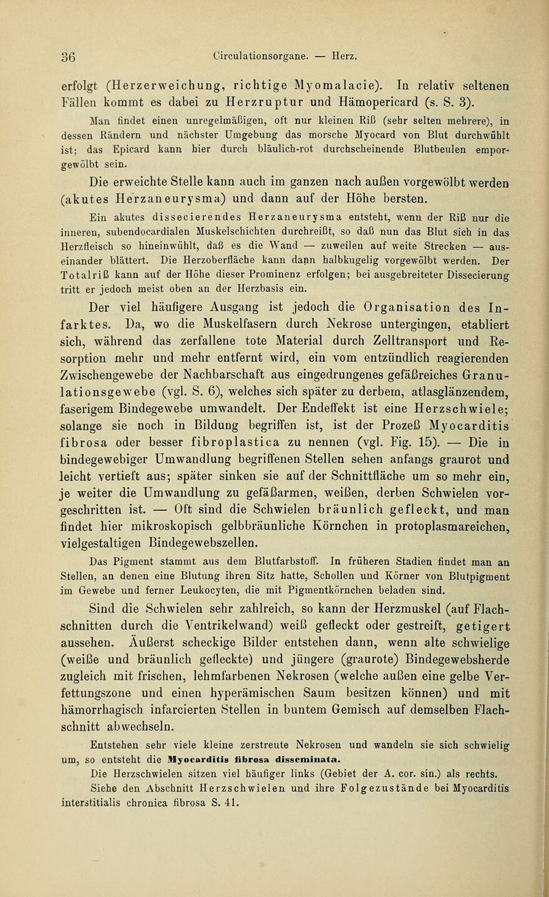 erfolgt (Herzerweichung, richtige Myomalacie). In relativ seltenen Fällen kommt es dabei zu Herzruptur und Hämopericard (s. S. 3). Mau findet einen unregelmäßigen, oft nur kleinen Rii3 (sehr selten mehrere), in dessen Rändern und nächster Umgebung das morsche Myocard von Blut durchwühlt ist; das Epicard kann hier diirch bläulich-rot durchscheinende Blutbeulen empor- gewölbt sein. Die erweichte Stelle kann auch im ganzen nach außen vorgewölbt werden (akutes Herzaneurysma) und dann auf der Höhe bersten. Ein akutes dissecierendes Herzaneurysma entsteht, wenn der Riß nur die inneren, subendocardialen Muskelschichten durchreißt, so daß nun das Blut sich in das Herzfleisch so hineinwühlt, daß es die Wand — zuweilen auf weite Strecken — aus- einander blättert. Die Herzoberfläche kann dann halbkugelig vorgewölbt werden. Der Totalriß kann auf der Höhe dieser Prominenz erfolgen; bei ausgebreiteter Dissecierung tritt er jedoch meist oben an der Herzbasis ein. Der viel häufigere Ausgang ist jedoch die Organisation des In- farktes. Da, wo die Muskelfasern durch Nekrose untergingen, etabliert sich, während das zerfallene tote Material durch Zelltransport und Re- sorption mehr und mehr entfernt wird, ein vom entzündlich reagierenden Zwischengewebe der Nachbarschaft aus eingedrungenes gefäßreiches Granu- lationsgewebe (vgl. S. 6), welches sich später zu derbem, atlasglänzendem, faserigem Bindegewebe umwandelt. Der Endeffekt ist eine Herzschwiele; solange sie noch in Bildung begriffen ist, ist der Prozeß Myocarditis fibrosa oder besser fibroplastica zu nennen (vgl. Fig. 15). — Die in bindegewebiger Umwandlung begriffenen Stellen sehen anfangs graurot und leicht vertieft aus; später sinken sie auf der Schnittfläche um so mehr ein, je weiter die Umwandlung zu gefäßarmen, weißen, derben Schwielen vor- geschritten ist. — Oft sind die Schwielen bräunlich gefleckt, und man findet hier mikroskopisch gelbbräunliche Körnchen in protoplasmareichen, vielgestaltigen Bindegewebszellen. Das Pigment stammt aus dem Blutfarbstoff. In früheren Stadien findet man an Stellen, an denen eine Blutung ihren Sitz hatte, Schollen und Körner von Blutpigment im Gewebe und ferner Leukocyten, die mit Pigmentkörnchen beladen sind. Sind die Schwielen sehr zahlreich, so kann der Herzmuskel (auf Flach- schnitten durch die Ventrikelwand) weiß gefleckt oder gestreift, getigert aussehen. Äußerst scheckige Bilder entstehen dann, wenn alte schwielige (weiße und bräunlich gefleckte) und jüngere (graurote) Bindegewebsherde zugleich mit frischen, lehmfarbenen Nekrosen (welche außen eine gelbe Ver- fettungszone und einen hyperämischen Saum besitzen können) und mit hämorrhagisch infarcierten Stellen in buntem Gemisch auf demselben Flach- schnitt abwechseln. Entstehen sehr viele kleine zerstreute Nekrosen und wandeln sie sich schwielig um, so entsteht die Myocarditis fibrosa disseminata. Die Herzschwielen sitzen viel häufiger links (Gebiet der A. cor. sin.) als rechts. Siehe den Abschnitt Herzschwielen und ihre Folgezustände bei Myocarditis interstitialis chronica fibrosa S. 41.