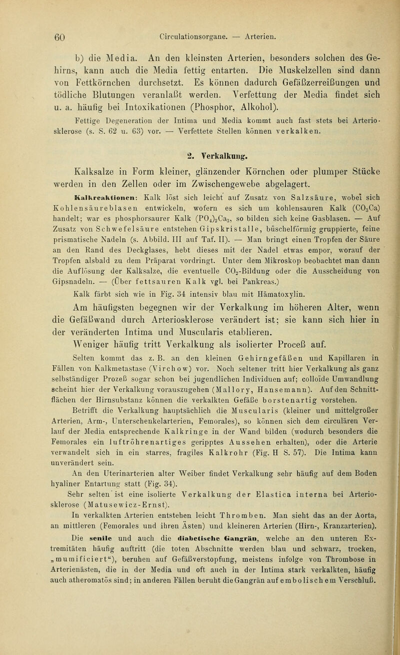 b) die Media. An den kleinsten Arterien, besonders solchen des Ge- hirns, kann auch die Media fettig entarten. Die Muskelzellen sind dann von Fettkörnchen durchsetzt. Es können dadurch Gefäßzerreißungen und tödliche Blutungen veranlaßt werden. Verfettung der Media findet sich u. a. häufig bei Intoxikationen (Phosphor, Alkohol). Fettige Degeneration der Intima und Media kommt auch fast stets bei Arterio- sklerose (s. S. 62 u. 63) vor. — Verfettete Stellen können verkalken. 2. Verkalkung. Kalksalze in Form kleiner, glänzender Körnchen oder plumper Stücke werden in den Zellen oder im Zwischengewebe abgelagert. Kalkreaktionen: Kalk löst sich leicht auf Zusatz von Salzsäure, wobei sich Kohlensäureblasen entwickeln, wofern es sich um kohlensauren Kalk (COsCa) handelt; war es phosphorsaurer Kalk (P04)2Ca3, so bilden sich keine Gasblasen. — Auf Zusatz von Schwefelsäure entstehen Gipskristalle, büschelförmig gruppierte, feine prismatische Nadeln (s. Abbild. III auf Taf. II). — Man bringt einea Tropfen der Säure an den Rand des Deckglases, hebt dieses mit der Nadel etwas empor, worauf der Tropfen alsbald zu dem Präparat vordringt. Unter dem Mikroskop beobachtet man dann die Auflösung der Kalksalze, die eventuelle G02-Bildung oder die Ausscheidmag von Gipsnadeln. — (Über fettsauren Kalk vgl. bei Pankreas.) Kalk färbt sich wie in Fig. 34 intensiv blau mit Hämatoxylin. Am häufigsten begegnen wir der Verkalkung im höheren Alter, wenn die Gefäßwand durch Arteriosklerose verändert ist; sie kann sich hier in der veränderten Intima und Muscularis etablieren. Weniger häufig tritt Verkalkung als isolierter Proceß auf. Selten kommt das z. B. an den kleinen Gehirngefäßen und Kapillaren in Fällen von Kalkmetastase (Virchow) vor. Noch seltener tritt hier Verkalkung als ganz selbständiger Prozeß sogar schon bei jugendlichen Individuen auf; colloide Umwandlung scheint hier der Verkalkung vorauszugehen (Mall ory, Hansemann). Auf den Schnitt- flächen der Hirnsubstanz können die verkalkten Gefäße borstenartig vorstehen. Betriift die Verkalkung hauptsächlich die Muscularis (kleiner und mittelgroßer Arterien, Arm-, Unterschenkelarterien, Femorales), so können sich dem circulären Ver- lauf der Media entsprechende Kalkringe in der Wand bilden (wodurch besonders die Femorales ein luftröhrenartiges geripptes Aussehen erhalten), oder die Arterie verwandelt sich in ein starres, fragiles Kalk röhr (Fig. H S. 57). Die Intima kann unverändert sein. An den Uterinarterien alter Weiber findet Verkalkung sehr häufig auf dem Boden hyaliner Entartung statt (Fig. 34). Sehr selten'ist eine isolierte Verkalkung der Elastica interna bei Arterio- sklerose (Matusewicz-Ernst). In verkalkten xirterien entstehen leicht Thromben. Man sieht das an der Aorta, an mittleren (Femorales und ihren Ästen) und kleineren Arterien (Hirn-, Kranzarterien). Die senile und auch die diabetische (iangräu, welche an den unteren Ex- tremitäten häufig auftritt (die toten Abschnitte werden blau und schwarz, trocken, „mumificiert), beruhen auf Gefäßverstopfung, meistens infolge von Thrombose in Arterienästen, die in der Media und oft auch in der Intima stark verkalkten, häufig auch atheromatös sind; in anderen Fällen beruht die Gangrän auf embolischem Verschluß.