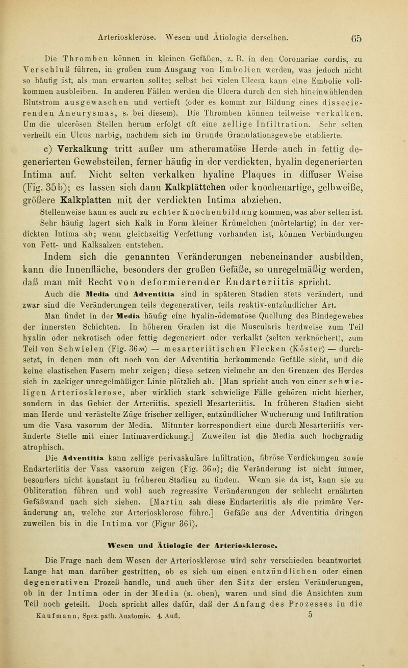 Die Thromben können in kleinen Gefäßen, z. B. in den Coronariae cordis, zu Verschluß führen, in grollen zum Ausgang von Embolien werden, was jedoch nicht so häufig ist, als man erwarten sollte; selbst bei vielen Ulcera kann eine Embolia voll- kommen ausbleiben. In anderen Fällen werden die Ulcera durch den sich hineinwühlenden Blutstrom ausgewaschen und vertieft (oder es kommt zur Bildung eines dissecie- renden Aneurysmas, s. bei diesem). Die Thromben können teilweise verkalken, um die ulcerösen Stellen herum erfolgt oft eine zellige Infiltration. Sehr selten verheilt ein Ulcus narbig, nachdem sich im Grunde Granulationsgewebe etablierte. c) Verkalkung tritt außer um atheromatöse Herde auch in fettig de- generierten Gewebsteilen, ferner häufig in der verdickten, hyalin degenerierten Intima auf. Nicht selten verkalken hyaline Plaques in diifuser Weise (Fig. 35 b); es lassen sich dann Kalkplättchen oder knochenartige, gelbweiße, größere Kalkplatten mit der verdickten Intima abziehen. Stellenweise kann es auch zu echter Knochenbildung kommen, was aber selten ist. Sehr häufig lagert sich Kalk in Form kleiner Krümelchen (mörtelartig) in der ver- dickten Intima ab; wenn gleichzeitig Verfettung vorhanden ist, können Verbindungen von Fett- und Kalksalzen entstehen. Indem sich die genannten Veränderungen nebeneinander ausbilden, kann die Innenfläche, besonders der großen Gefäße, so unregelmäßig werden, daß man mit Recht von deformierender Endarteriitis spricht. Auch die Media und Adventitia sind in späteren Stadien stets verändert, und zwar sind die Veränderungen teils degenerativer, teils reaktiv-entzündlicher Art. Man findet in der Media häufig eine hyalin-ödematöse Quellung des Bindegewebes der innersten Schichten. In höheren Graden ist die Muscularis herdweise zum Teil hyalin oder nekrotisch oder fettig degeneriert oder verkalkt (selten verknöchert), zum Teil von Schwielen (Fig. 36m) — mesarteriitischen Flecken (Köster) — durch- setzt, in denen man oft noch von der Adventitia herkommende Gefäße sieht, und die keine elastischen Fasern mehr zeigen; diese setzen vielmehr an den Grenzen des Herdes sich in zackiger unregelmäßiger Linie plötzlich ab. [Man spricht auch von einer schwie- ligen Arteriosklerose, aber wirklich stark schwielige Fälle gehören nicht hierher, sondern in das Gebiet der Arteriitis, speziell Mesarteriitis. In früheren Stadien sieht man Herde und verästelte Züge frischer zelliger, entzündlicher Wucherung und Infiltration um die Vasa vasorum der Media. Mitunter korrespondiert eine durch Mesarteriitis ver- änderte Stelle mit einer Intimaverdickung.] Zuweilen ist die Media auch hochgradig atrophisch. Die Adventitia kann zellige perivaskuläre Infiltration, fibröse Verdickungen sowie Endarteriitis der Vasa vasorum zeigen (Fig. 36 a); die Veränderung ist nicht immer, besonders nicht konstant in früheren Stadien zu finden. Wenn sie da ist, kann sie zu Obliteration führen und wohl auch regressive Veränderungen der schlecht ernährten Gefäßwand nach sich ziehen. [Martin sah diese Endarteriitis als die primäre Ver- änderung an, welche zur Arteriosklerose führe.] Gefäße aus der Adventitia dringen zuweilen bis in die Intima vor (Figur 36i). Wesen und Ätiologie der Arteriosklerose. Die Frage nach dem Wesen der Arteriosklerose wird sehr verschieden beantwortet Lange hat man darüber gestritten, ob es sich um einen entzündlichen oder einen degenerativen Prozeß handle, und auch über den Sitz der ersten Veränderungen, ob in der Intima oder in der Media (s. oben), waren und sind die Ansichten zum Teil noch geteilt. Doch spricht alles dafür, daß der Anfang des Prozesses in die Kaufmann, Spez. path. Anatomie. 4. Aufl. 5