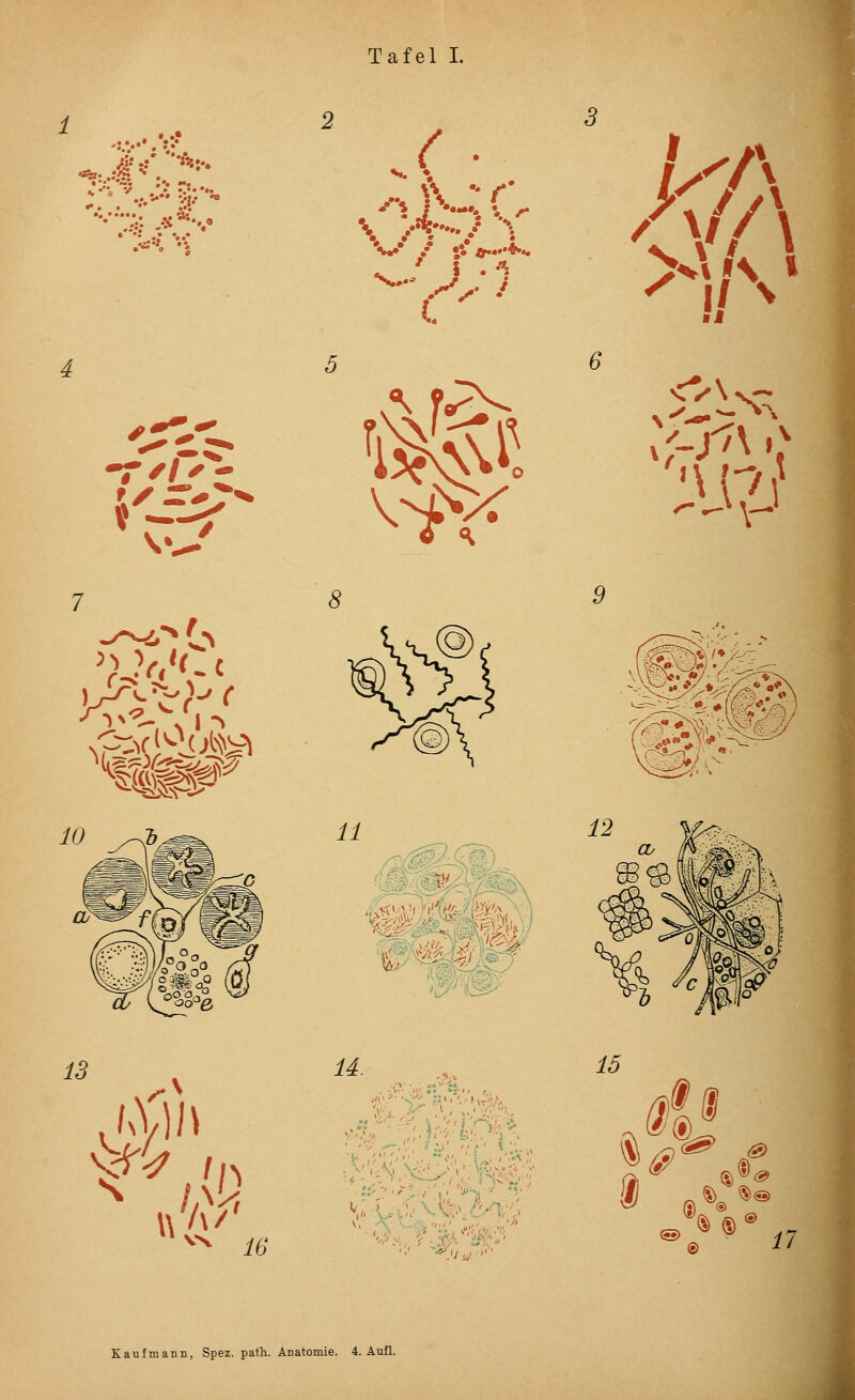 \\ \i ■S&l^ SL^S 13 ( . ^ 8 U. vs. m .•? ' '- ' 1'./ /.r >/,■ ' 6 ii '^)«\/*;^- lö 4» 17