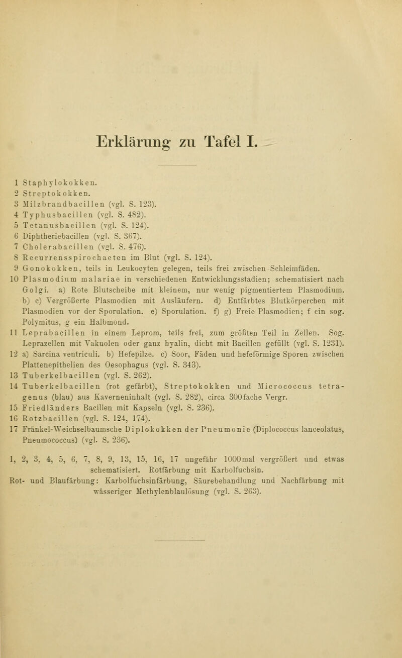 1 Staphylokokken. 2 Streptokokken. 3 Milzbrandbacillen (vgl. S. 123). 4 Typhusbacillen (vgl. S. 482). 5 Tetanusbacillen (vgl. S. 124). 6 Diphtheriebacillen (vgl. S. 367). 7 Cholerabacillen (vgl. S. 476). 8 Recurrensspirochaeten im Blut (vgl. S. 124). 9 Gonokokken, teils in Leukocyten gelegen, teils frei zwischen Schleimfäden. 10 Plasmodium malariae in verschiedenen Entwicklungsstadien; schematisiert nach Golgi. a) Rote Blutscheibe mit kleinem, nur wenig pigmentiertem Plasmodium, b) c) Vergrößerte Plasmodien mit Ausläufern, d) Entfärbtes Blutkörperchen mit Plasmodien vor der Sporulatlon. e) Sporulation. f) g) Freie Plasmodien; f ein sog. Polymitus, g ein Halbmond. 11 Leprabacillen in einem Leprom, teils frei, zum größten Teil in Zellen. Sog. Leprazellen mit Vakuolen oder ganz hyalin, dicht mit Bacillen gefüllt (vgl. S. 1231). 12 a) Sarcina ventriculi. b) Hefepilze, c) Soor, Fäden und hefeförmige Sporen zwischen Plattenepithelien des Oesophagus (vgl. S. 343). 13 Tuberkelbacillen (vgl. S. 262). 14 Tuberkelbacillen (rot gefärbt), Streptokokken und Micrococcus tetra- genus (blau) aus Kaverneninhalt (vgl. S. 282), circa 300 fache Vergr. 15 Friedländers Bacillen mit Kapseln (vgl. S. 236). 16 Rotzbacillen (vgl. S. 124, 174). 17 Fränkel-Weichselbaumsche Diplokokken der Pneumonie (Diplococcus lanceolatus, Pneumococcus) (vgl. S. 236). 1, 2, 3. 4, 5, 6, 7, 8, 9, 13, 15, 16, 17 ungefähr lOOOmal vergrößert und etwas schematisiert. Rotfärbung mit Karbolfuchsin. Rot- und Blaufärbung: Karbolfuchsinfärbung, Säurebehandlung und Nachfärbung mit wässeriger Methylenblaulösung (vgl. S. 263).
