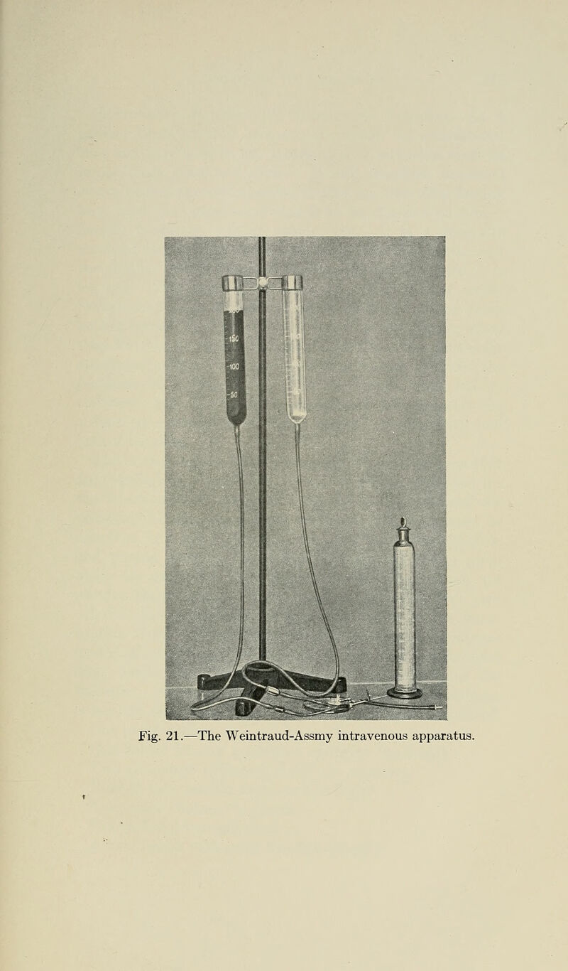 Lt' Fig. 21.—The Weintraud-Assmy intravenous apparatus.