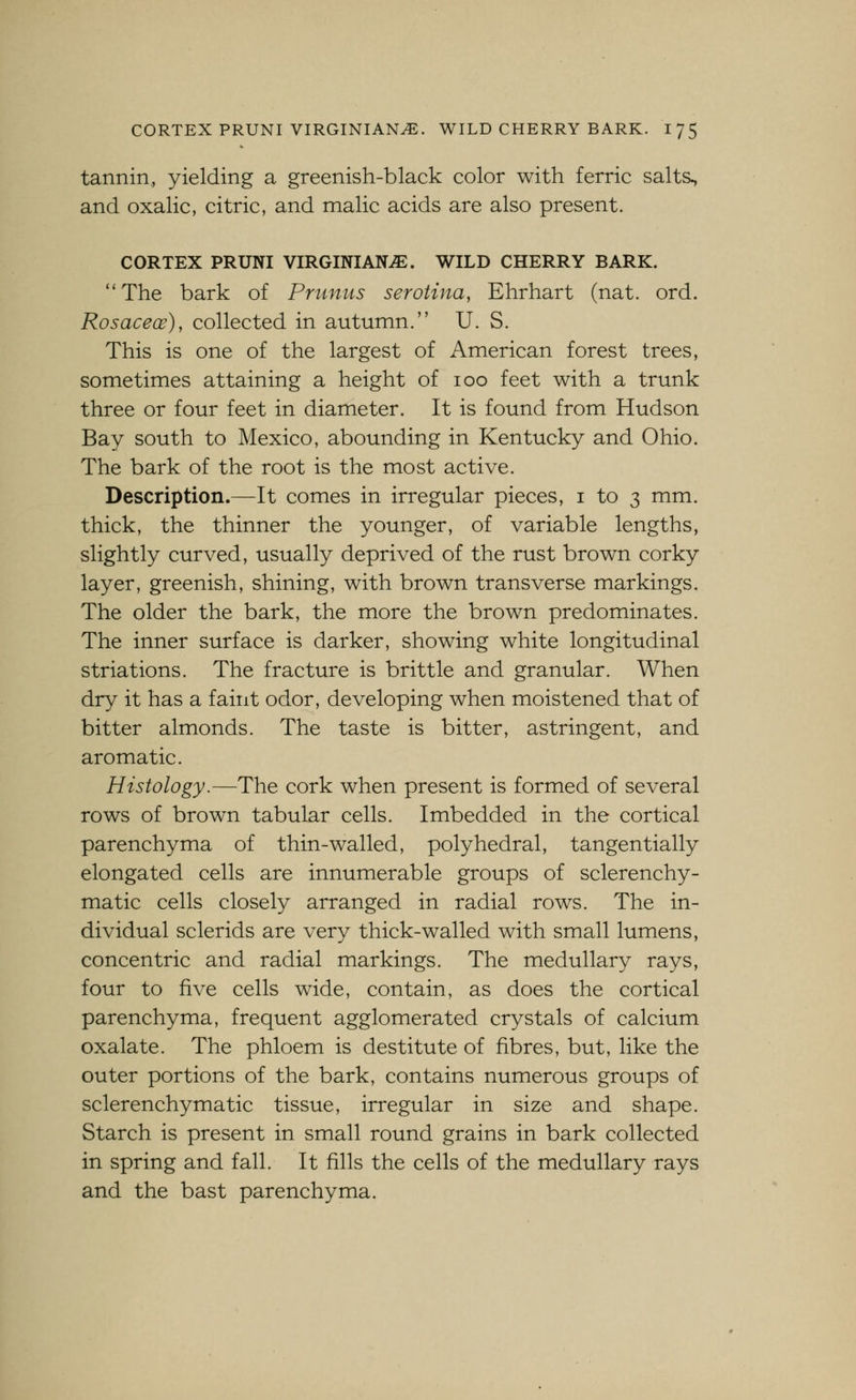 CORTEX PRUNI VIRGINIANS. WILD CHERRY BARK. I 75 tannin, yielding a greenish-black color with ferric salts., and oxalic, citric, and malic acids are also present. CORTEX PRUNI VIRGINIANS. WILD CHERRY BARK. ''The bark of Prunus serotina, Ehrhart (nat. ord. Rosacece), collected in autumn. U. S. This is one of the largest of American forest trees, sometimes attaining a height of loo feet with a trunk three or four feet in diameter. It is found from Hudson Bay south to Mexico, abounding in Kentucky and Ohio. The bark of the root is the most active. Description.—It comes in irregular pieces, i to 3 mm. thick, the thinner the younger, of variable lengths, slightly curved, usually deprived of the rust brown corky layer, greenish, shining, with brown transverse markings. The older the bark, the more the brown predominates. The inner surface is darker, showing white longitudinal striations. The fracture is brittle and granular. When dry it has a faint odor, developing when moistened that of bitter almonds. The taste is bitter, astringent, and aromatic. Histology.—The cork when present is formed of several rows of brown tabular cells. Imbedded in the cortical parenchyma of thin-walled, polyhedral, tangentially elongated cells are innumerable groups of sclerenchy- matic cells closely arranged in radial rows. The in- dividual sclerids are very thick-walled with small lumens, concentric and radial markings. The medullary rays, four to five cells wide, contain, as does the cortical parenchyma, frequent agglomerated crystals of calcium oxalate. The phloem is destitute of fibres, but, like the outer portions of the bark, contains numerous groups of sclerenchymatic tissue, irregular in size and shape. Starch is present in small round grains in bark collected in spring and fall. It fills the cells of the medullary rays and the bast parenchyma.