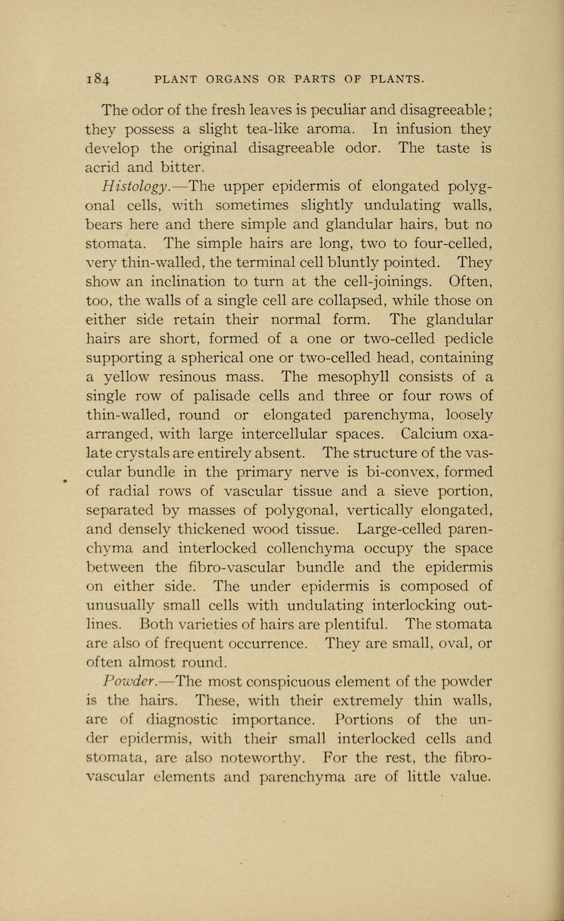 The odor of the fresh leaves is pecuHar and disagreeable; they possess a slight tea-like aroma. In infusion they develop the original disagreeable odor. The taste is acrid and bitter. Histology.—The upper epidermis of elongated polyg- onal cells, with sometimes slightly undulating walls, bears here and there simple and glandular hairs, but no stomata. The simple hairs are long, two to four-celled, very thin-walled, the terminal cell bluntly pointed. They show an inclination to turn at the cell-joinings. Often, too, the walls of a single cell are collapsed, while those on either side retain their normal form. The glandular hairs are short, formed of a one or two-celled pedicle supporting a spherical one or two-celled head, containing a yellow resinous mass. The mesophyll consists of a single row of palisade cells and three or four rows of thin-walled, round or elongated parenchyma, loosely arranged, with large intercellular spaces. Calcium oxa- late crystals are entirely absent. The structure of the vas- cular bundle in the primary nerve is bi-convex, formed of radial row^s of vascular tissue and a sieve portion, separated by masses of polygonal, vertically elongated, and densely thickened wood tissue. Large-celled paren- chyma and interlocked collenchyma occupy the space between the fibro-vascular bundle and the epidermis on either side. The under epidermis is composed of unusually small cells with undulating interlocking out- lines. Both varieties of hairs are plentiful. The stomata are also of frequent occurrence. They are small, oval, or often almost round. Powder.—The most conspicuous element of the powder is the hairs. These, with their extremely thin walls, are of diagnostic importance. Portions of the un- der epidermis, with their small interlocked cells and stomata, are also noteworthy. For the rest, the fibro- vascular elements and parenchyma are of little value.