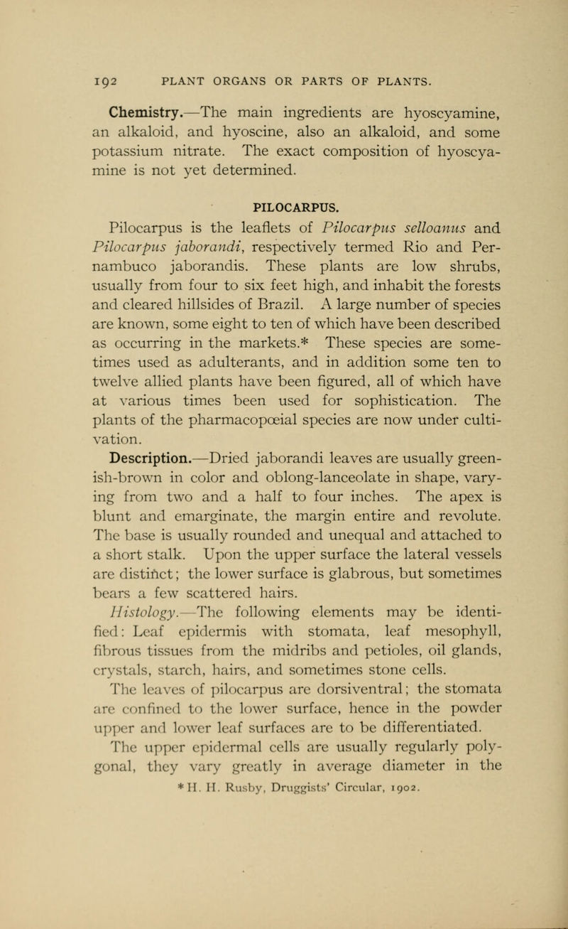 Chemistry.—The main ingredients are hyoscyamine, an alkaloid, and hyoscine, also an alkaloid, and some potassium nitrate. The exact composition of hyoscya- mine is not yet determined. PILOCARPUS. Pilocarpus is the leaflets of Pilocarpus selloaniis and Pilocarpus jahorandi, respectively termed Rio and Per- nambuco jaborandis. These plants are low shrubs, usually from four to six feet high, and inhabit the forests and cleared hillsides of Brazil. A large number of species are known, some eight to ten of which have been described as occurring in the markets.* These species are some- times used as adulterants, and in addition some ten to twelve allied plants have been figured, all of which have at various times been used for sophistication. The plants of the pharmacopoeial species are now under culti- vation. Description.—Dried jaborandi leaves are usually green- ish-brown in color and oblong-lanceolate in shape, vary- ing from two and a half to four inches. The apex is blunt and emarginate, the margin entire and re volute. The base is usually rounded and unequal and attached to a short stalk. Upon the upper surface the lateral vessels are distinct; the lower surface is glabrous, but sometimes bears a few scattered hairs. Histology.—The following elements may be identi- fied: Leaf epidermis with stomata, leaf mesophyll, fibrous tissues from the midribs and petioles, oil glands, crystals, starch, hairs, and sometimes stone cells. The leaves of pilocarpus are dorsiventral; the stomata are confined to the lower surface, hence in the powder upper and lower leaf surfaces arc to be differentiated. The upper epidermal cells are usually regularly poly- gonal, they vary greatly in average diameter in the *II. IT. Rushy, Druggists* Circular, 1902.