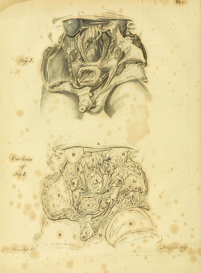 PI. J^.7: .'/./. ;//,:■„,.,./y/-././. '' ' ('.f/y,,'/ /r/J^/ .