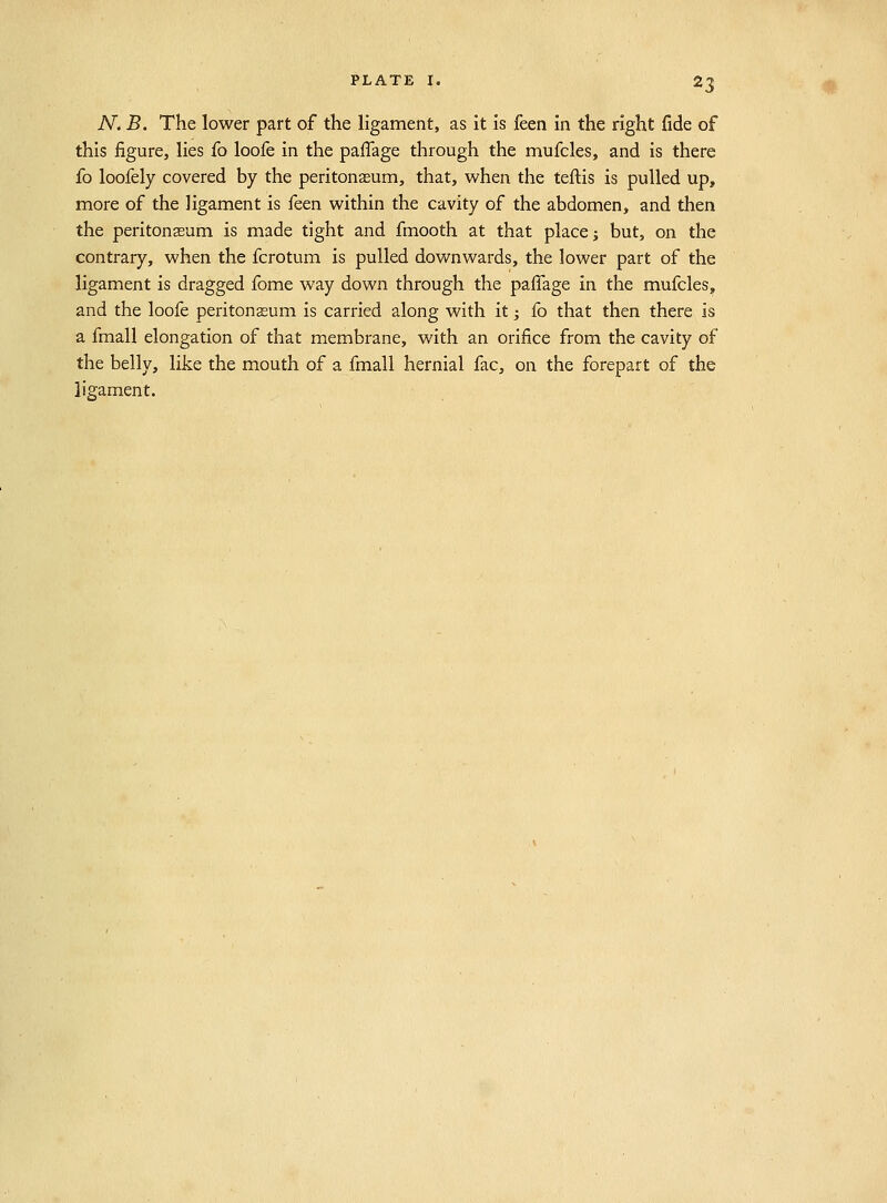 A^. B. The lower part of the ligament, as it is feen in the right fide of this figure, lies fo loofe in the paffage through the mufcles, and is there fo loofely covered by the peritonaeum, that, when the teftis is pulled up, more of the ligament is icen within the cavity of the abdomen, and then the peritonasum is made tight and fmooth at that place j but, on the contrary, when the fcrotum is pulled downwards, the lower part of the ligament is dragged fome way down through the paffage in the mufcles^ and the loofe peritoneum is carried along with it; fo that then there is a fmall elongation of that membrane, with an orifice from the cavity of the belly, like the mouth of a fmall hernial fac, on the forepart of the ligament.