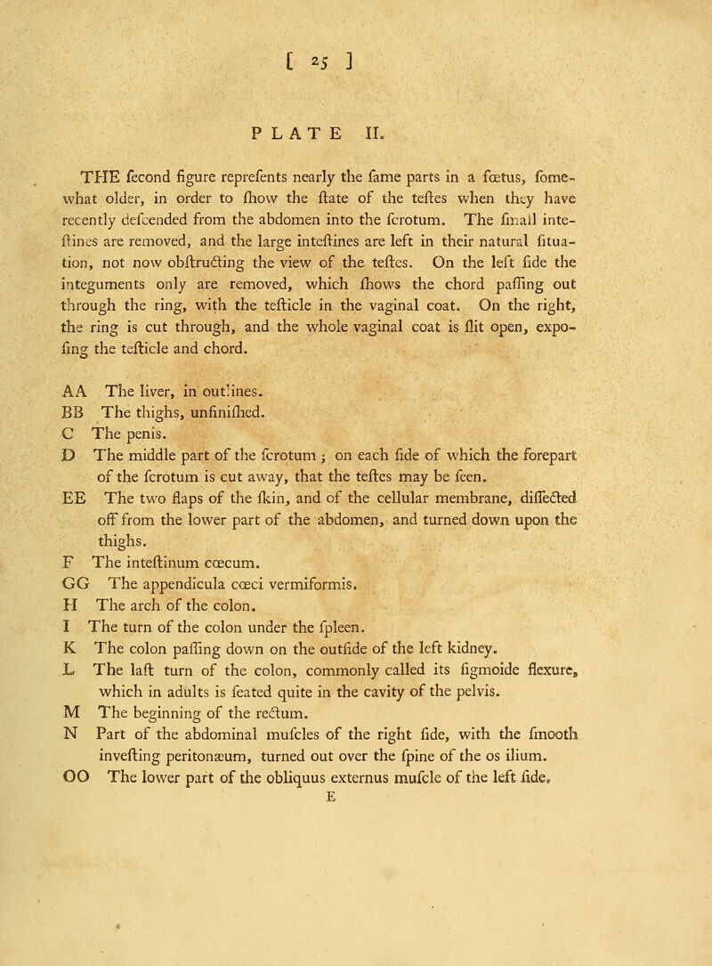 PLATE 11. THE fecond figure reprefents nearly the fame parts in a foetus, fome- what older, in order to fhow the ftate of the teftes when they have recently defcended from the abdomen into the fcrotum. The fmall inte- flines are removed, and the large inteilines are left in their natural fitua- tion, not now obflrufting the view of the teftes. On the left fide the integuments only are removed, which fliows the chord pafTing out through the ring, with the tefticle in the vaginal coat. On the right, the ring is cut through, and the whole vaginal coat is flit open, expo- fmg the tefticle and chord. AA The liver, in outlines. BB The thighs, unfiniflied. C The penis. D The middle part of the fcrotum ; on each fide of which the forepart of the fcrotum is cut away, that the teftes may be feen. EE The two flaps of the flcin, and of the cellular membrane, difledled off from the lower part of the abdomen, and turned down upon the thighs. F The inteftinum caecum. GG The appendicula coeci vermiformis. H The arch of the colon. I The turn of the colon under the fpleen. K The colon pafling down on the outfide of the left kidney. L The laft turn of the colon, commonly called its flgmoide flexure, which in adults is feated quite in the cavity of the pelvis. M The beginning of the re6lum. N Part of the abdominal mufcles of the right fide, with the fmooth inverting peritonjeum, turned out over the Ipine of the os ilium. 00 The lower part of the obliquus externus mufcle of the left fide, E