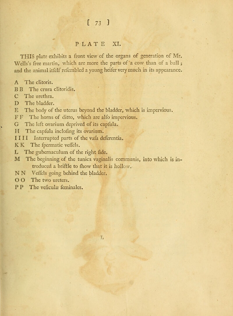 PLAT E XL THIS plate exhibits a front view of the organs of generation of Mr. Wells's free martin, which are more the parts of a cow than of a bull; and the animal itfelf refembled a young heifer very much in its appearance. A The clitoris. B B The crura clitoridis. C The urethra. D The bladder. E The body of the uterus beyond the bladder, which is Impervious, F F The horns of ditto, which are alfo impervious. G The left ovarium deprived of its capfula. H The capfula inclofing its ovarium. 1111 Interrupted parts of the vafa deferentla. K K The fpermatic veiTels. L The gubernaculum of the right iide. M The beginning of the tunica vaginalis communis^ into which is in- troduced a briftle to {how that it is hollow. N N A'^effels going behind the bladder. O O The two ureters. P P The veliculffi feminales.