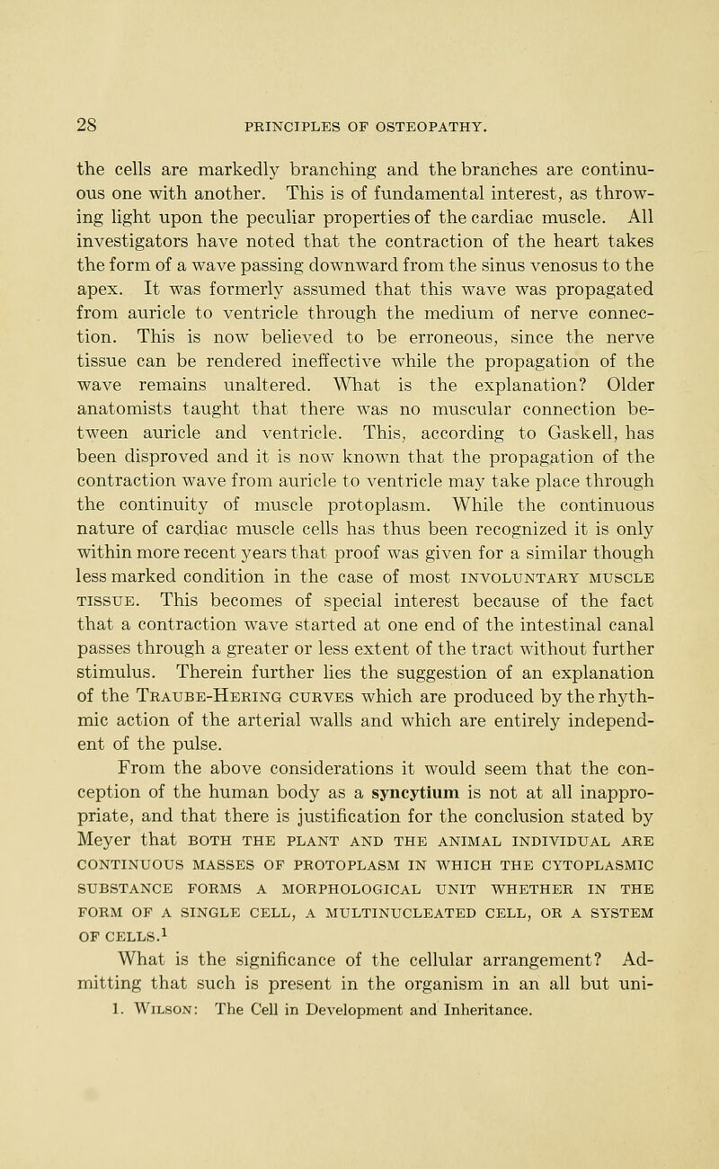 the cells are markedly branching and the branches are continu- ous one with another. This is of fundamental interest, as throw- ing light upon the peculiar properties of the cardiac muscle. All investigators have noted that the contraction of the heart takes the form of a wave passing downward from the sinus venosus to the apex. It was formerly assumed that this wave was propagated from aiiricle to ventricle through the medium of nerve connec- tion. This is now believed to be erroneous, since the nerve tissue can be rendered ineffective while the propagation of the wave remains unaltered. What is the explanation? Older anatomists taught that there was no muscular connection be- tween auricle and ventricle. This, according to Gaskell, has been disproved and it is now known that the propagation of the contraction wave from auricle to ventricle may take place through the continuity of muscle protoplasm. While the continuous nature of cardiac muscle cells has thus been recognized it is only within more recent years that proof was given for a similar though less marked condition in the case of most involuntary muscle TISSUE. This becomes of special interest because of the fact that a contraction wave started at one end of the intestinal canal passes through a greater or less extent of the tract without further stimulus. Therein further lies the suggestion of an explanation of the Traube-Hering curves which are produced by the rhyth- mic action of the arterial walls and which are entirely independ- ent of the pulse. From the above considerations it would seem that the con- ception of the human body as a syncytium is not at all inappro- priate, and that there is justification for the conclusion stated by Meyer that both the plant and the animal individual are continuous masses of protoplasm in which the cytoplasmic substance forms a morphological unit whether in the FORM of a single CELL, A MULTINUCLEATED CELL, OR A SYSTEM OF CELLS.1 What is the significance of the cellular arrangement? Ad- mitting that such is present in the organism in an all but uni-