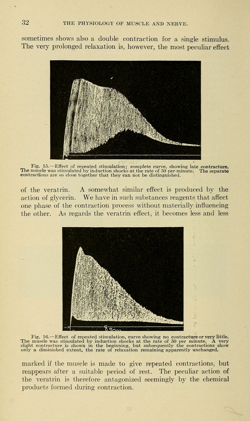 sometimes shows also a double contraction for a single stimulus. The very prolonged relaxation is, however, the most peculiar effect Fig. 15.—Effect of repeated stimulation; complete curve, showing late contracture. The muscle was stimulated by induction shocks at the rate of .50 per minute. The separate contractions are so close together that they can not be distinguished. of the veratrin. A somewhat similar effect is produced by the action of glycerin. We have in such substances reagents that affect one phase of the contraction process without material^ influencing the other. As regards the veratrin effect, it becomes less and less Fig. 16.—Effect of repeated stimulation, curve showing no contracture or very little. The muscle was stimulated by induction shocks at the rate of 50 per minute. A very slight contracture is shown in the beginning, but subsequently the contractions show only a diminished extent, the rate of relaxation remaining apparently unchanged. marked if the muscle is made to give repeated contractions, but reappears after a suitable period of rest. The peculiar action of the veratrin is therefore antagonized seemingly by the chemical products formed during contraction.