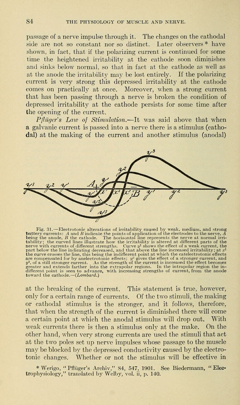 passage of a nerve impulse through it. The changes on the cathodal side are not so constant nor so distinct. Later observers * have shown, in fact, that if the polarizing current is continued for some time the heightened irritability at the cathode soon diminishes and sinks below normal, so that in fact at the cathode as well as at the anode the irritabihty may be lost entirely. If the polarizing current is very strong this depressed irritability at the cathode comes on practically at once. Moreover, when a strong current that has been passing through a nerve is broken the condition of depressed irritability at the cathode persists for some time after the opening of the current. Pfliiger's Law of Stimulation.-—It was said above that when a galvanic current is passed into a nerve there is a stimulus (catho- dal) at the making of the current and another stimulus (anodal) Fig. 3L—Electrotonic alterations of irritability caused by weak, medium, and strong battery currents: A and B indicate the points of application of the electrodes to the nerve, A being the anode, B the cathode. The horizontal line represents the nerve at normal irri- tability; the curved lines illustrate how the irritability is altered at different parts of the nerve with currents of different strengths. Curve y^ shows the effect of a wea,k current, the part below the line indicating decreased, and that above the line increased irritability; at x^ the curve crosses the line, this laeing the indifferent point at which the catelectrotonic effects are compensated for by anelectrotonic effects; y- gives the effect of a stronger current, and y^, of a still stronger current. As the strength of the current is increased the effect beconies greater and extends farther into the extrapolar regions. In the intrapolar region the in- different point is seen to advance, with increasing strengths of current, from the anode toward the cathode.—(Lombard.) at the breaking of the current. This statement is true, however, only for a certain range of currents. Of the two stimuli, the making or cathodal stimulus is the stronger, and it follows, therefore, that when the strength of the current is diminished there will come a certain point at which the anodal stimulus will drop out. With weak currents there is then a stimulus only at the make. On the other hand, when very strong currents are used the stimuli that act at the two poles set up nerve impulses whose passage to the muscle may be blocked by the depressed conductivity caused by the electro- tonic changes. Whether or not the stimulus will be effective in *Werigo,  Pfluger's Archiv, 84, 547, 1901. See Biedermann,  Elec- trophysiology, translated by Welby, vol. ii, p. 140.