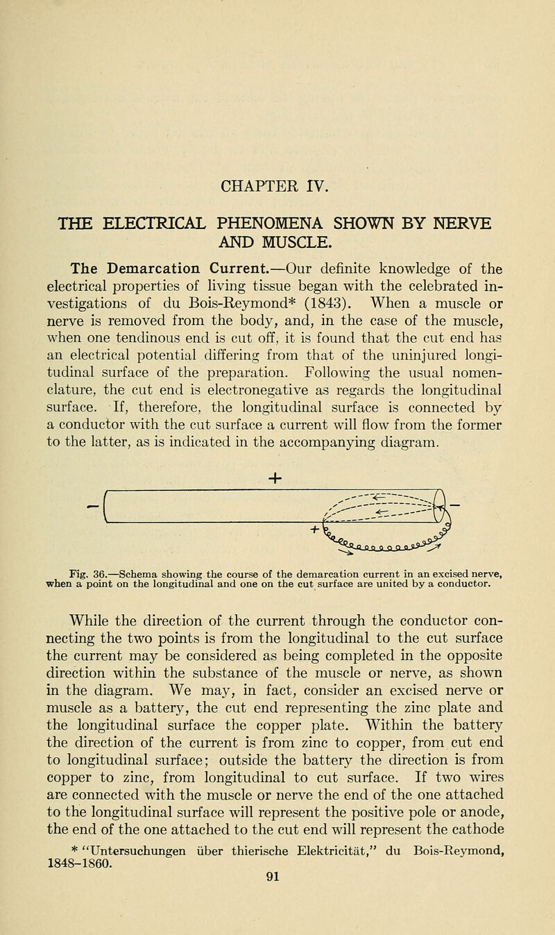 CHAPTER IV. THE ELECTRICAL PHENOMENA SHOWN BY NERVE AND MUSCLE. The Demarcation Current.—Our definite knowledge of the electrical properties of living tissue began with the celebrated in- vestigations of du Bois-Reymond* (1843). When a muscle or nerve is removed from the body, and, in the case of the muscle, when one tendinous end is cut off, it is found that the cut end has an electrical potential differing from that of the uninjured longi- tudinal surface of the preparation. Following the usual nomen- clature, the cut end is electronegative as regards the longitudinal surface. If, therefore, the longitudinal surface is connected by a conductor with the cut surface a current will flow from the former to the latter, as is indicated in the accompanying diagram. Fig. 36.—Schema showing the course of the demarcation current in an excised nerve, when a point on the longitudinal and one on the cut surface are united by a conductor. While the direction of the current through the conductor con- necting the two points is from the longitudinal to the cut surface the current may be considered as being completed in the opposite direction within the substance of the muscle or nerve, as shown in the diagram. We may, in fact, consider an excised nerve or muscle as a battery, the cut end representing the zinc plate and the longitudinal surface the copper plate. Within the battery the direction of the current is from zinc to copper, from cut end to longitudinal surface; outside the battery the direction is from copper to zinc, from longitudinal to cut surface. If two wires are connected with the muscle or nerve the end of the one attached to the longitudinal surface will represent the positive pole or anode, the end of the one attached to the cut end will represent the cathode * Untersuchungen iiber thierische Elektricitat, du Bois-Reymond, 1848-1860.