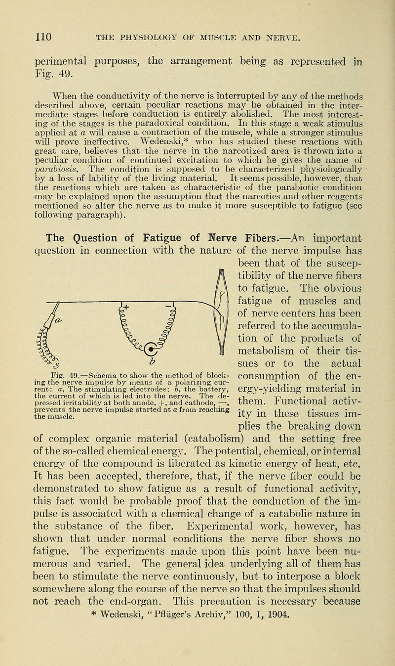 perimental purposes^ the arrangement being as represented in Fig. 49. When the conductivity of the nerve is interrupted by any of the methods described above, certain pecuhar reactions may be obtained in the inter- mediate stages before conduction is entirely abolished. The most interest- ing of the stages is the paradoxical condition. In this stage a weak stimulus applied at a will cause a contraction of the muscle, while a stronger stimulus will prove ineffective. Wedenski,* who has studied these reactions with great care, believes that the nerve in the narcotized area is thrown into a peculiar condition of continued excitation to which he gives the name of parabiosis. The condition is supposed to be characterized physiologically by a loss of lability of the living material. It seems possible, however, that the reactions Avhich are taken as characteristic of the parabiotic condition may be explained upon the assumption that the narcotics and other reagents mentioned so alter the nerve as to make it more susceptible to fatigue (see following paragraph). The Question of Fatigue of Nerve Fibers.—An important question in connection with the nature of the nerve impulse has been that of the suscep- tibility of the nerve fibers to fatigue. The obvious fatigue of muscles and of nerve centers has been referred to the accumula- tion of the products of metabolism of their tis- sues or to the actual consumption of the en- ergy-yielding material in them. Functional activ- ity in these tissues im- plies the breaking down of complex organic material (catabolism) and the setting free of the so-called chemical energy. The potential, chemical, or internal energy of the compound is liberated as kinetic energy of heat, etc. It has been accepted, therefore, that, if the nerve fiber could be demonstrated to show fatigue as a result of functional activity, this fact would be probable proof that the conduction of the im- pulse is associated with a chemical change of a catabolic nature in the substance of the fiber. Experimental work, however, has shown that under normal conditions the nerve fiber shows no fatigue. The experiments made upon this point have been nu- merous and varied. The general idea underlying all of them has been to stimulate the nerve continuously, but to interpose a block somewhere along the course of the nerve so that the impulses should not reach the end-organ. This precaution is necessary because * Wedenski,  Pfluger's Archiv, 100, 1, 1904. Fig. 49.—Schema to show the method of block- ing the nerve impulse by means of a polarizing cur- rent: fit, The stimulating electrodes; h, the battery, the current of which is led into the nerve. The de- pressed irritability at both anode, +, and cathode, —, prevents the nerve impulse started at a from reaching the muscle.