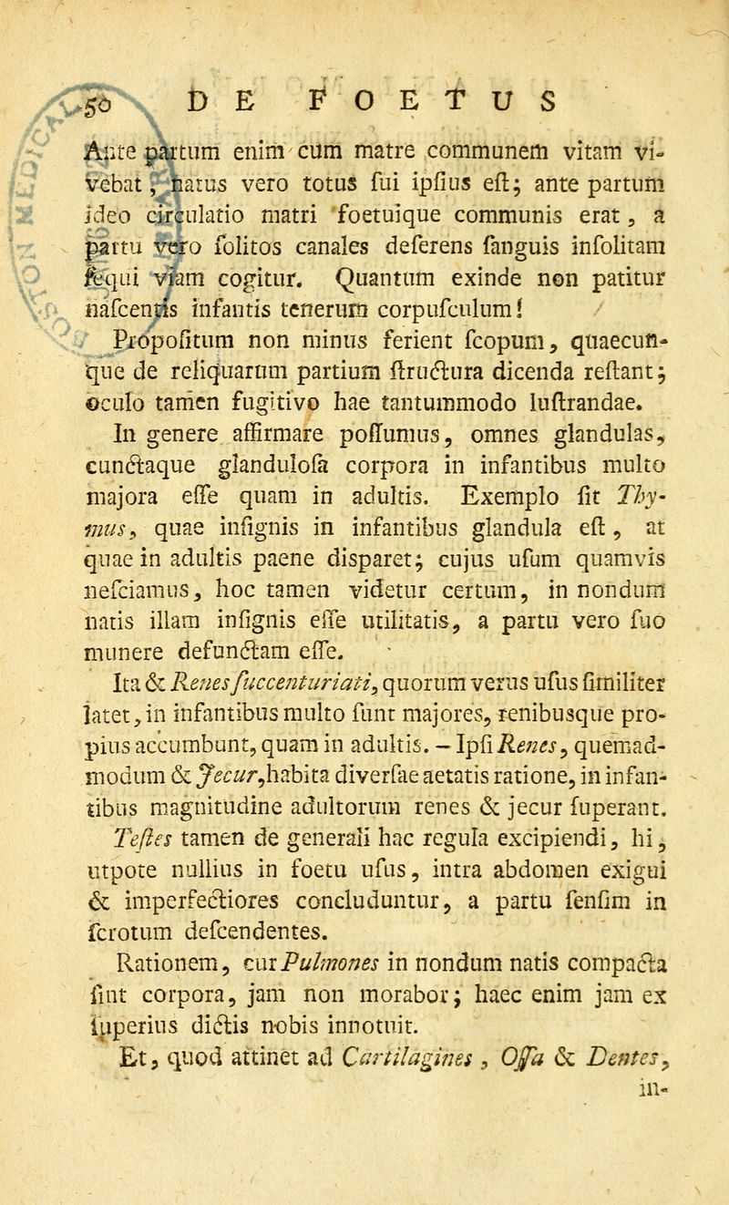 tum enim cum matre communem vitam vi- tarus vero totus fui ipfius eft; ante partum circulatio matri foetuique communis erat, a partu vcro folitos canales deferens fanguis infolitani ^O feqiii viam cogitur. Quantum exinde non patitur ^'i^ iiafcenpis infantis tcnerum corpufculum! K,^^^^^6pofitum non minus ferient fcopuni, quaecun- ^ue de reliquarum partium ilruftura dicenda reflant, oculo tanicn fugitivo hae tantummodo luftrandae. In genere affirmare pollumus, omnes glandulas^ cundlaque glandulofa corpora in infantibus multo majora effe quam in adultis, Exemplo fit Thy- mus^ quae infignis in infantibus glandula efi:, at quaein adultis paene disparet; cujus ufum quamvis nefciamus, hoc tamen videtur certum, in nondum natis iliara infignis elTe utihtatis^ a partu vero fuo munere defundiam eife. Ita & Renes pjccenturiati^ quorum verus ufus fimiliter iatet,in infantibus multo funt majoreSj renibusque pro- piusaccumbunt,quamin adultis. -\^{\Renes^ quemad- modum & y^^^-^r^habita diverdie aetatis ratione, in infan- tibus m.agnitudine adultorum renes & jecur fuperant. Teiles tamen de gcnerali hac regula excipiendi, hi, iitpote nuUius in foetu ufus, intra abdomen exigui & imperfecliores concluduntur, a partu fenfim in fcrotum defcendentes. Rationemi, tmPulmones in nondum natis compacla fint corpora, jam non morabor; haec enim jam ex iuperius diftis n-obis innotuit. Et, quod attinet ad C^rtilagines :, Ofa & Bentes^ in-