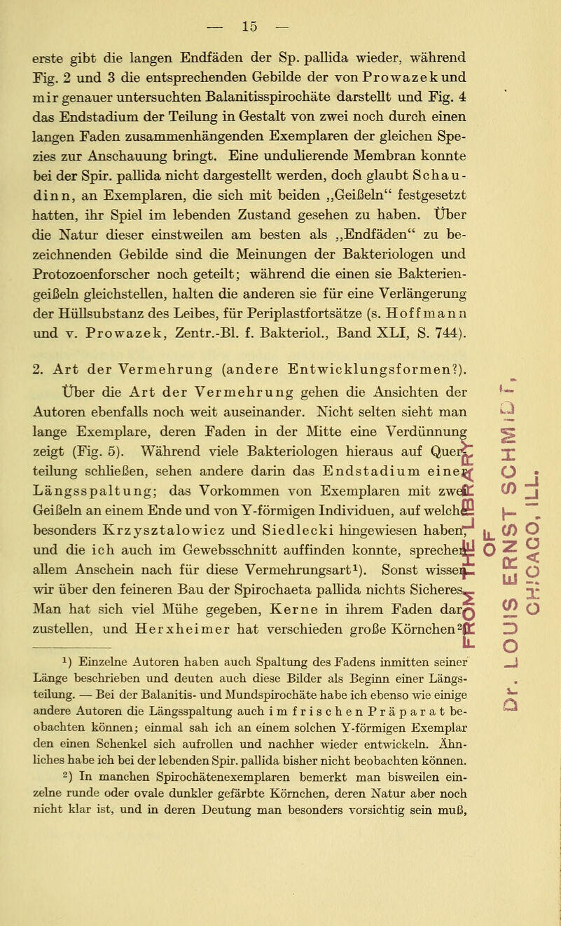 erste gibt die langen Endfäden der Sp. pallida wieder, während Fig. 2 und 3 die entsprechenden Gebilde der von Prowazek und mir genauer untersuchten Balanitisspirochäte darstellt und Fig. 4 das Endstadium der Teilung in Gestalt von zwei noch durch einen langen Faden zusammenhängenden Exemplaren der gleichen Spe- zies zur Anschauung bringt. Eine undulierende Membran konnte bei der Spir. pallida nicht dargestellt werden, doch glaubt Schau- dinn, an Exemplaren, die sich mit beiden „Geißeln festgesetzt hatten, ihr Spiel im lebenden Zustand gesehen zu haben. Über die Natur dieser einstweilen am besten als „Endfäden zu be- zeichnenden Gebilde sind die Meinungen der Bakteriologen und Protozoenforscher noch geteilt; während die einen sie Bakterien- geißeln gleichstellen, halten die anderen sie für eine Verlängerung der Hüllsubstanz des Leibes, für Periplastfortsätze (s. Hoff mann und v. Prowazek, Zentr.-Bl. f. Bakteriol., Band XLI, S. 744). 2. Art der Vermehrung (andere Entwicklungsformen?). Über die Art der Vermehrung gehen die Ansichten der *— Autoren ebenfalls noch weit auseinander. Nicht selten sieht man lange Exemplare, deren Faden in der Mitte eine Verdünnung zeigt (Fig. 5). Während viele Bakteriologen hieraus auf Quer*£ teilung schließen, sehen andere darin das Endstadium einejgf O • Längsspaltung; das Vorkommen von Exemplaren mit zwejC CO  Geißeln an einem Ende und von Y-f örmigen Individuen, auf welche: besonders Krzysztalowicz und Siedlecki hingewiesen haben, i, (/) O , H Z o und die ich auch im Gewebsschnitt auffinden konnte, spreche»; O allem Anschein nach für diese Vermehrungsart1). Sonst wisseij— wir über den feineren Bau der Spirochaeta pallida nichts Sicheres—, Man hat sich viel Mühe gegeben, Kerne in ihrem Faden darQ zustellen, und Herxheimer hat verschieden große Körnchen2tt! 3 - o *) Einzelne Autoren haben auch Spaltung des Fadens inmitten seiner Länge beschrieben und deuten auch diese Bilder als Beginn einer Längs- teilung. — Bei der Balanitis- und Mundspirochäte habe ich ebenso wie einige andere Autoren die Längsspaltung auch imfrischenPräparat be- obachten können; einmal sah ich an einem solchen Y-f örmigen Exemplar den einen Schenkel sich aufrollen und nachher wieder entwickeln. Ähn- liches habe ich bei der lebenden Spir. pallida bisher nicht beobachten können. 2) In manchen Spirochätenexemplaren bemerkt man bisweilen ein- zelne runde oder ovale dunkler gefärbte Körnchen, deren Natur aber noch nicht klar ist, und in deren Deutung man besonders vorsichtig sein muß, D