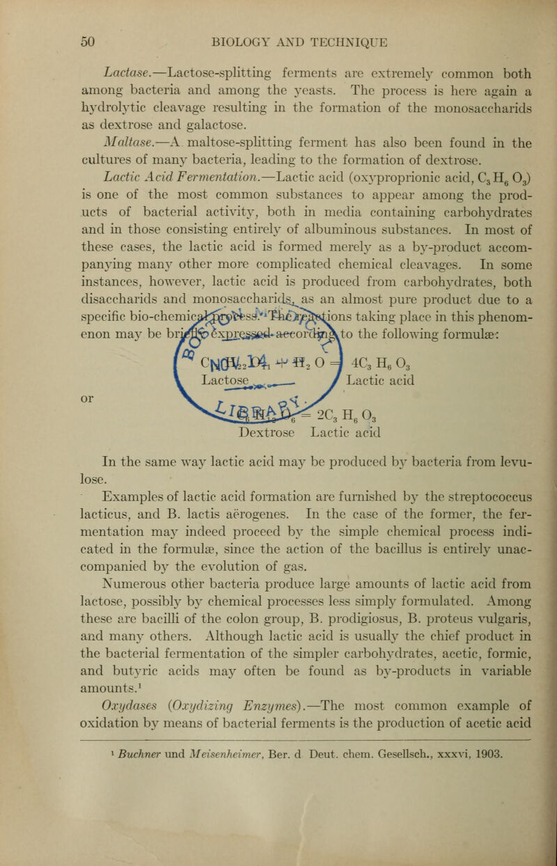 Lactase.—Lactose-splitting ferments are extremely common both among bacteria and among the yeasts. The process is here again a hydrolytic cleavage resulting in the formation of the monosaccharids as dextrose and galactose. Maltose.—A. maltose-splitting ferment has also been found in the cultures of many bacteria, leading to the formation of dextrose. Lactic Acid Fermentation.—Lactic acid (oxyproprionic acid, C3H6 03) is one of the most common substances to appear among the prod- ucts of bacterial activity, both in media containing carbohydrates and in those consisting entirely of albuminous substances. In most of these cases, the lactic acid is formed merely as a by-product accom- panying many other more complicated chemical cleavages. In some instances, however, lactic acid is produced from carbohydrates, both clisaccharids and monosaccharids. as an almost pure product due to a specific bio-chemicai^j)>^ss:/ir?h£>)e^ions taking place in this phenom- enon may be brj^^^xjDre^e^Uaeeorcliri^to the following formulae: 4C3 H6 03 or Lactic acid 2C,H,0, Dextrose Lactic acid In the same way lactic acid may be produced by bacteria from levu- lose. Examples of lactic acid formation are furnished by the streptococcus lacticus, and B. lactis aerogenes. In the case of the former, the fer- mentation may indeed proceed by the simple chemical process indi- cated in the formula?, since the action of the bacillus is entirely unac- companied by the evolution of gas. Numerous other bacteria produce large amounts of lactic acid from lactose, possibly by chemical processes less simply formulated. Among these are bacilli of the colon group, B. prodigiosus, B. proteus vulgaris, and many others. Although lactic acid is usually the chief product in the bacterial fermentation of the simpler carbohydrates, acetic, formic, and butyric acids may often be found as by-products in variable amounts.1 Oxydases (Oxydizing Enzymes).—The most common example of oxidation by means of bacterial ferments is the production of acetic acid 1 Buchner und Meisenheimer, Ber. d Deut. chem. Gesellsch., xxxvi, 1903.