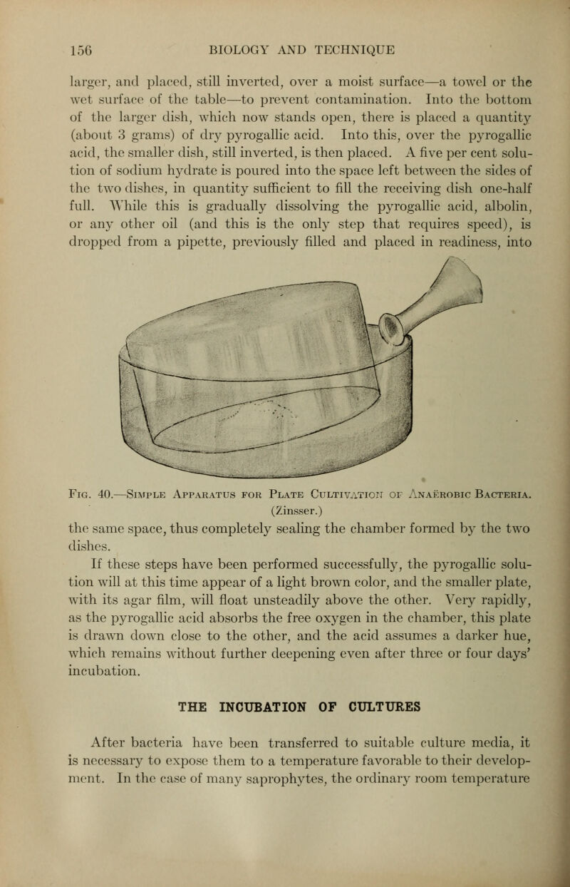 larger, and placed, still inverted, over a moist surface—a towel or the wet surface of the table—to prevent contamination. Into the bottom of the larger dish, which now stands open, there is placed a quantity (about 3 grams) of dry pyrogallic acid. Into this, over the pyrogallic acid, the smaller dish, still inverted, is then placed. A five per cent solu- tion of sodium hydrate is poured into the space left between the sides of the two dishes, in quantity sufficient to fill the receiving dish one-half full. While this is gradually dissolving the pyrogallic acid, albolin, or any other oil (and this is the only step that requires speed), is dropped from a pipette, previously filled and placed in readiness, into Fig. 40.—Simple Apparatus for Plate Cultivatioii of Anaerobic Bacteria. (Zinsser.) the same space, thus completely sealing the chamber formed by the two dishes. If these steps have been performed successfully, the pyrogallic solu- tion will at this time appear of a light brown color, and the smaller plate, with its agar film, will float unsteadily above the other. Very rapidly, as the pyrogallic acid absorbs the free oxygen in the chamber, this plate is drawn down close to the other, and the acid assumes a darker hue, which remains without further deepening even after three or four days' incubation. THE INCUBATION OF CULTURES After bacteria have been transferred to suitable culture media, it is necessary to expose them to a temperature favorable to their develop- ment. In the case of many saprophytes, the ordinary room temperature