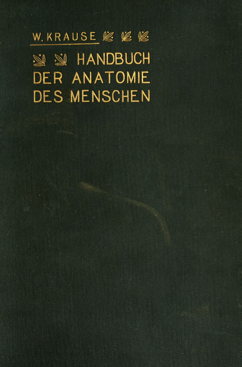 W. KR AUSBAU ü m m m HANDBUCH DER ANATOMIE DES MENSCHEN