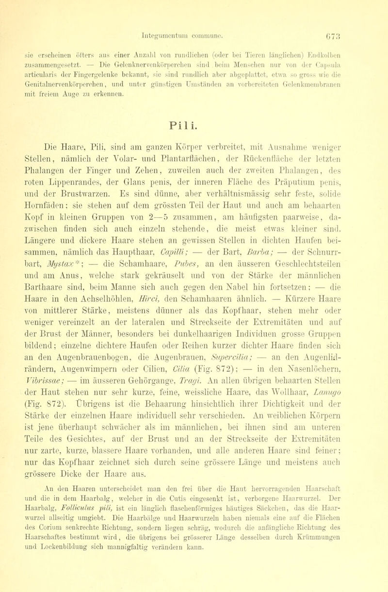 Tntegumciituiii conumino. 078 sie erscheinen (ilters aus einer Anzalil von rundlichen (oder bei Tieren län^^Hchen) Endi<olbon zusammengesetzt. — Die Gelenlmervenkörperchen sind beim Menschen nur von der Capsuhi articularis der Fingergelenlce bekannt, sie sind rundlich aber abgeplattet, etwa so gross wie die Genitalnervenkörperchen, und unter günstigen Umständen an vorbereiteten Gelenkraembranen mit freiem Augie zu erkennen. Pili. Die Haare, Pili, sind am ganzen Körper verbreitet, mit Ausnahme weniger Stellen, nämlich der A^olar- und Plantarflächen, der Rückenfläche der letzten Phalangen der Finger und Zehen, zuweilen auch der zweiten Phalangen, des roten Lippenrandes, der Glans penis, der inneren Fläche des Präputium penis, und der Brustwarzen. Es sind dünne, aber verhältnismässig sehr feste, sohde Hornfäden; sie stehen auf dem grössten Teil der Haut und auch am l)ehaarten Kopf in kleinen Gruppen von 2—5 zusammen, am häufigsten paarweise, da- zwischen finden sich auch einzeln stehende, die meist etwas kleiner sind. Längere und dickere Haare stehen an gewissen Stellen in dichten Haufen bei- sammen, nämUch das Haupthaar, Capüli; — der Bart, Barba; — der Schnurr- bart, Mystax^; — die Schamhaare, Pubes, an den äusseren Geschlechtsteilen und am Anus, welche stark gekräuselt und von der Stärke der männlichen Barthaare sind, beim Manne sich auch gegen den Nabel hin fortsetzen; — die Haare in den Achselhöhlen, Hif^ci, den Schamhaaren ähnlich. — Kürzere Haare von mittlerer Stärke, meistens dünner als das Kopfhaar, stehen mehr oder weniger vereinzelt an der lateralen und Streckseite der Extremitäten und auf der Brust der Männer, besonders bei dunkelhaarigen Individuen grosse Gruppen bildend; einzelne dichtere Haufen oder Reihen kurzer dichter Haare finden sich an den Augenbrauenbogen, die Augenbrauen, SuperciUa; — an den Augenlid- rändern, Augenwimpern oder Cilien, CiUa (Fig. 872); — in den Nasenlöchern, Vibrissae; — im äusseren Gehörgange. Tragi. An allen übrigen behaarten Stellen der Haut stehen nur sehr kurze, feine, weissliche Haare, das Wollhaar, Lanugo (Fig. 872). Übrigens ist die Behaarung hinsichtlich ihrer Dichtigkeit und der Stärke der einzelnen Haare mdividuell sehr verschieden. An weiblichen Körpern ist jene überhaupt schwächer als im männlichen, bei ihnen sind am unteren Teile des Gesichtes, auf der Brust und an der Streckseite der Extremitäten nur zarte, kurze, blassere Haare vorhanden, und alle anderen Haare sind feiner; nur das Kopfhaar zeichnet sich durch seine grössere Länge und meistens auch grössere Dicke der Haare aus. An den Haaren unterscheidet man den frei über die Haut hervorragenden Haarschaft und die in dem Haarbalg, welcher in die Cutis eingesenkt ist, verborgene Haarwurzel. Der Haarbalg, FoUiculus pili, ist ein länglich flaschenförraiges häutiges Säckchen, das die Haar- wurzel allseitig umgiebt. Die Haarbälge und Haarwurzeln haben niemals eine auf die Flächen des Corium senkrechte Richtung, sondern liegen schräg, wodurch die anfängliche Richtung des Haarschaftes bestimmt wird, die übrigens bei grösserer Länge desselben durch Krümmungen und Lockenbildung sich mannigfaltig verändein kann.